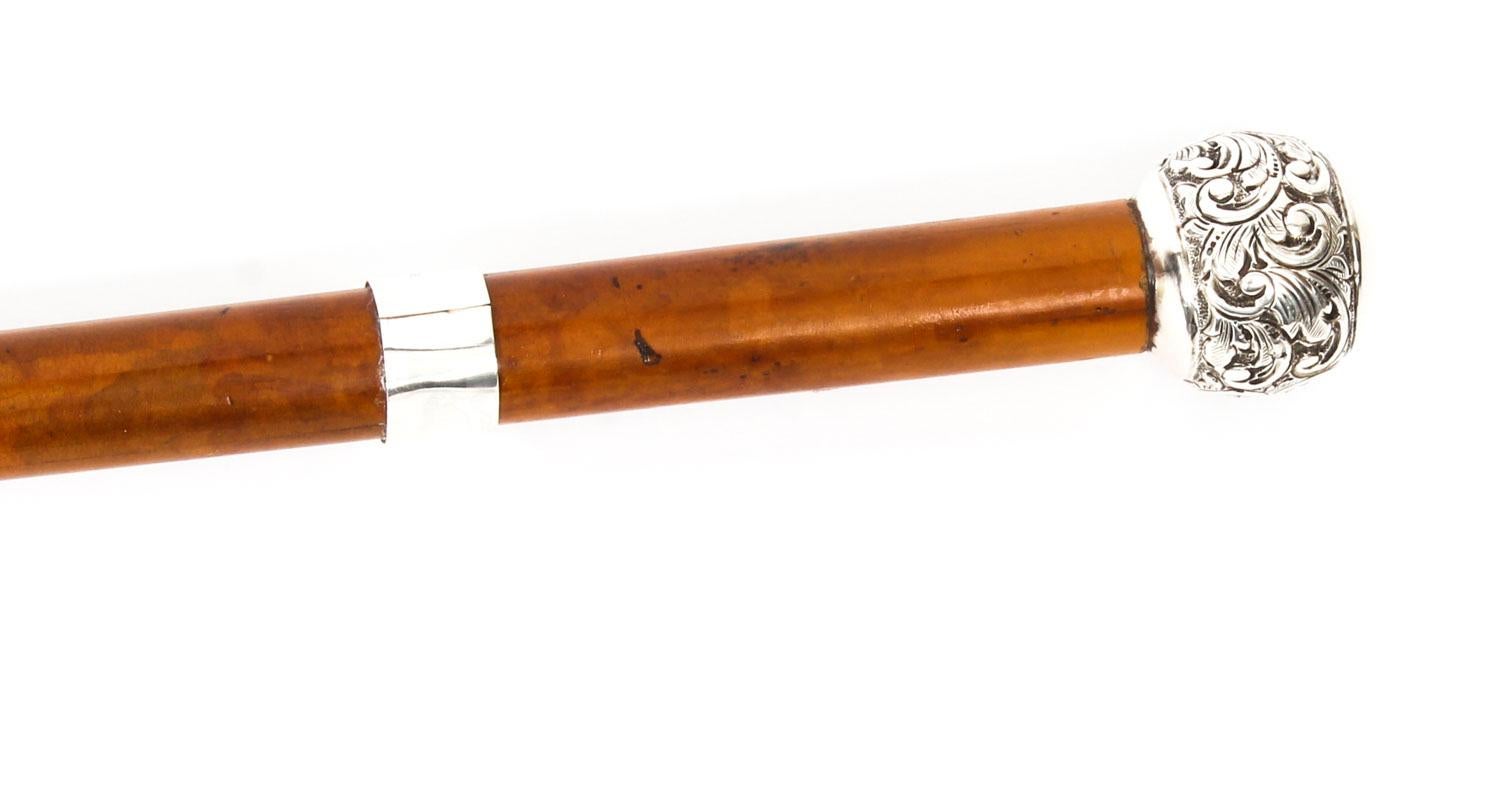 Antique Walking Stick Sword Stick Cane Silver Pommel, 19th Century In Good Condition In London, GB