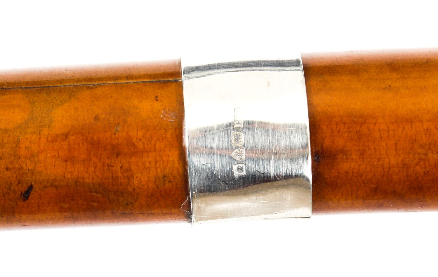 Mid-19th Century Antique Walking Stick Sword Stick Cane Silver Pommel, 19th Century