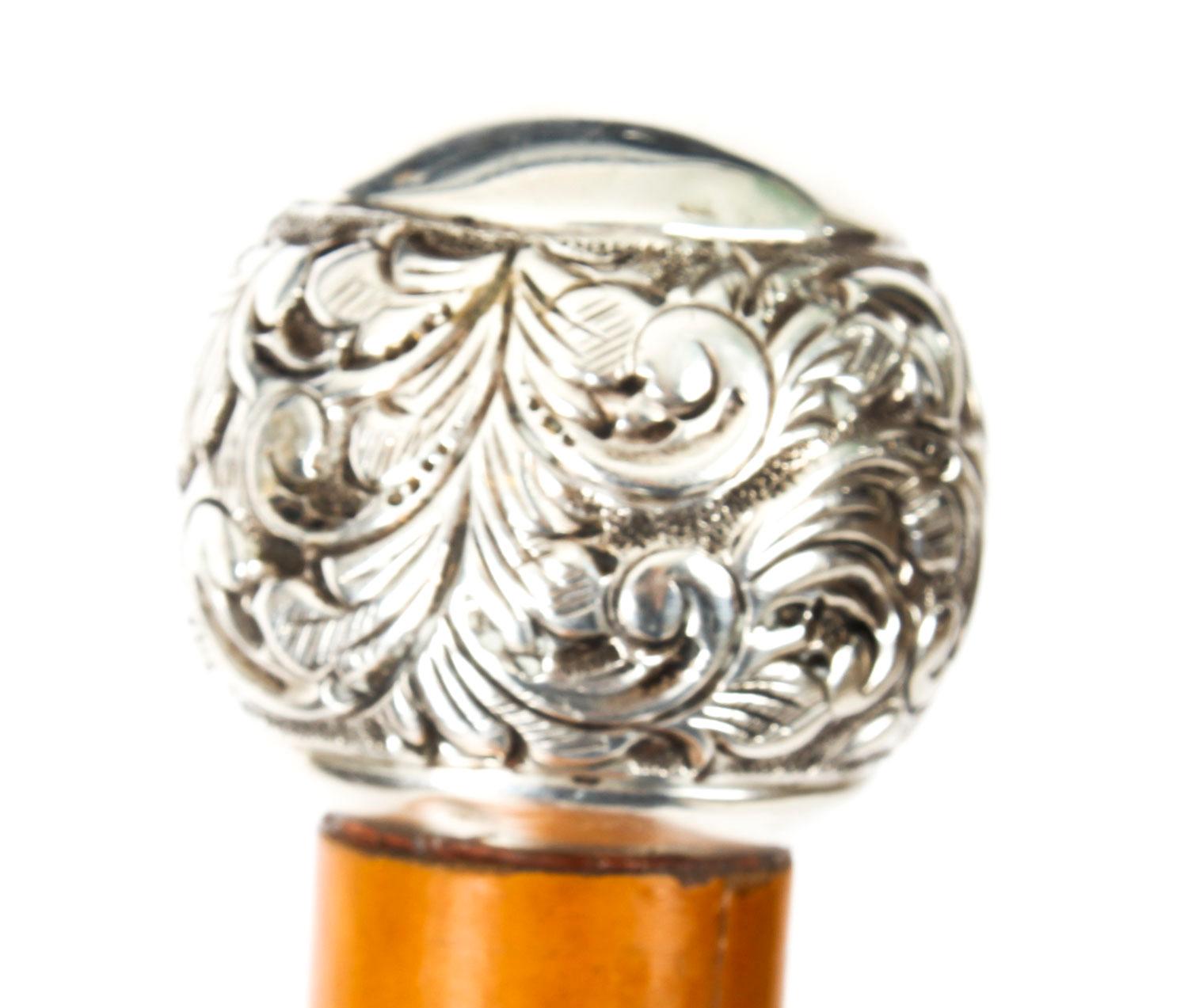 Antique Walking Stick Sword Stick Cane Silver Pommel, 19th Century 1