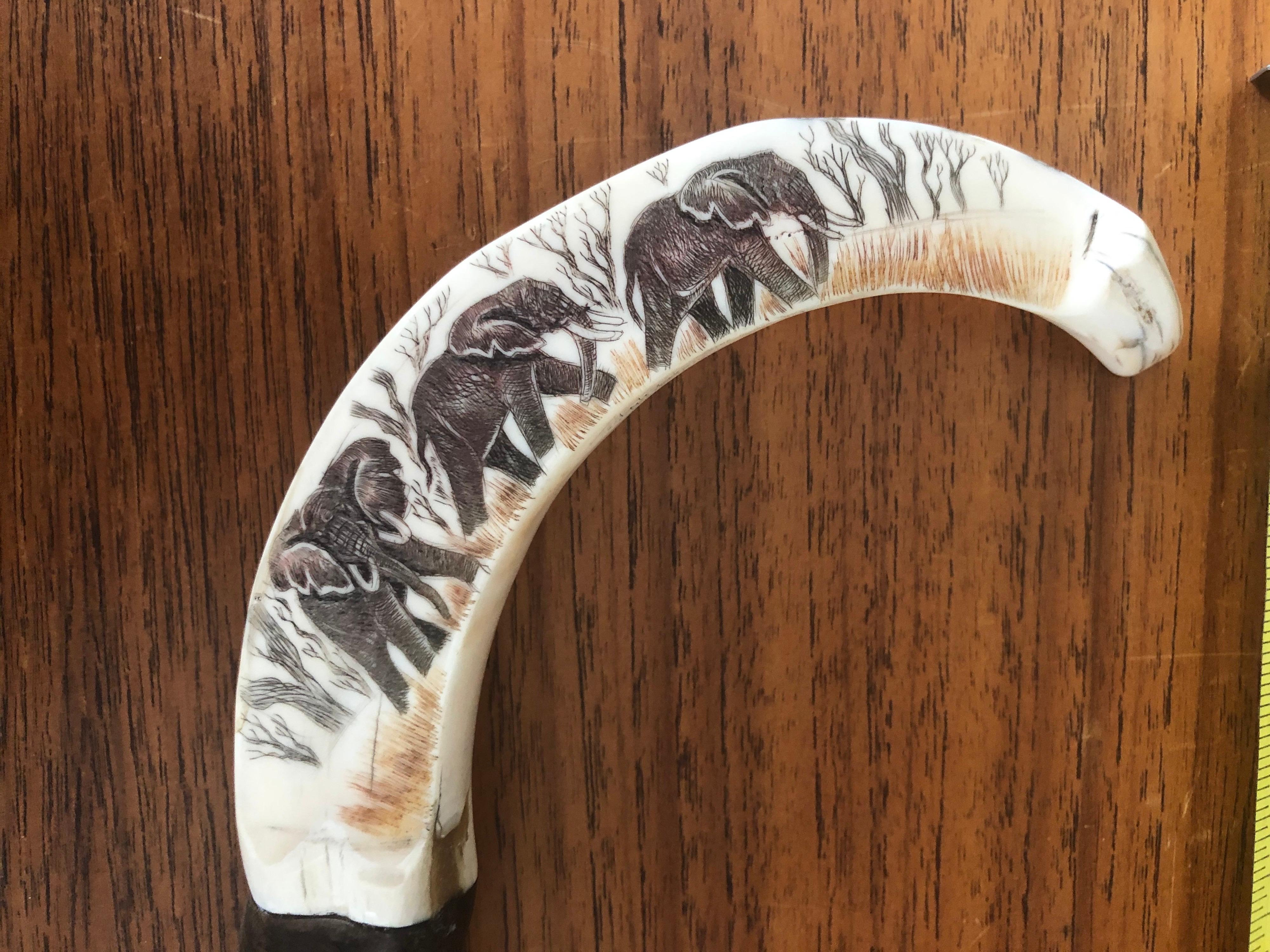 Fabulous antique walking stick with horn handle decorated with elephant scrimshaw, circa 1900. The handle is a curved horn with a pack of elephants in scrimshaw. Very well done. The total length of the stick is 36