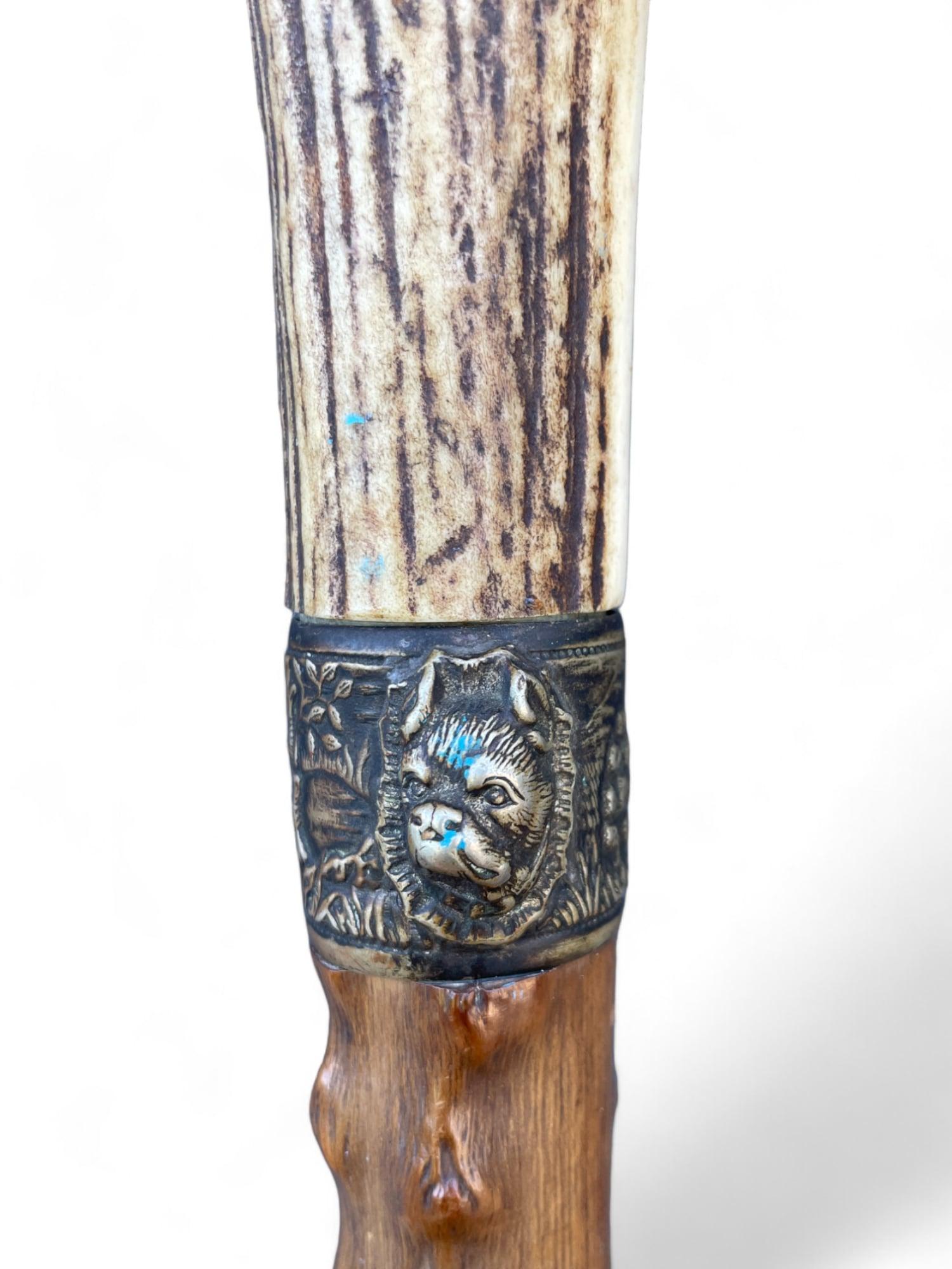 Antique Walking Stick with Roe Deer Horn For Sale 4