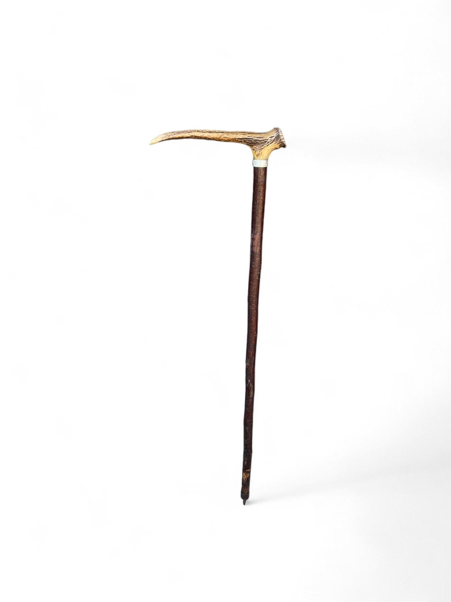 Antique Walking Stick in Hazel

Measurements: H.91 cm - W. 24 cm
Era: early 1900s
Origin: Austria
Wood: Hazel

Description

Antique walking stick, in hazel wood and deciduous roe deer horn.
Metal tip.