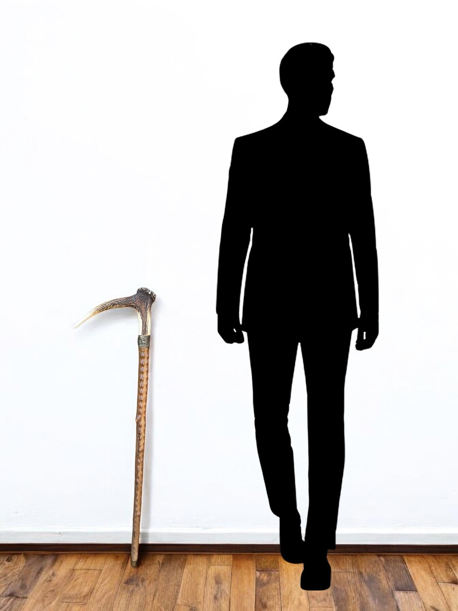 Walking Stick in Blackthorn and Horn

Measurements: H. 92 cm - L. 24 cm
Period: about 1900
Origin: Austria
Wood: Blackthorn

Description

Ancient walking stick, in blackthorn wood and deciduous roe deer horn.
The name of the original owner is
