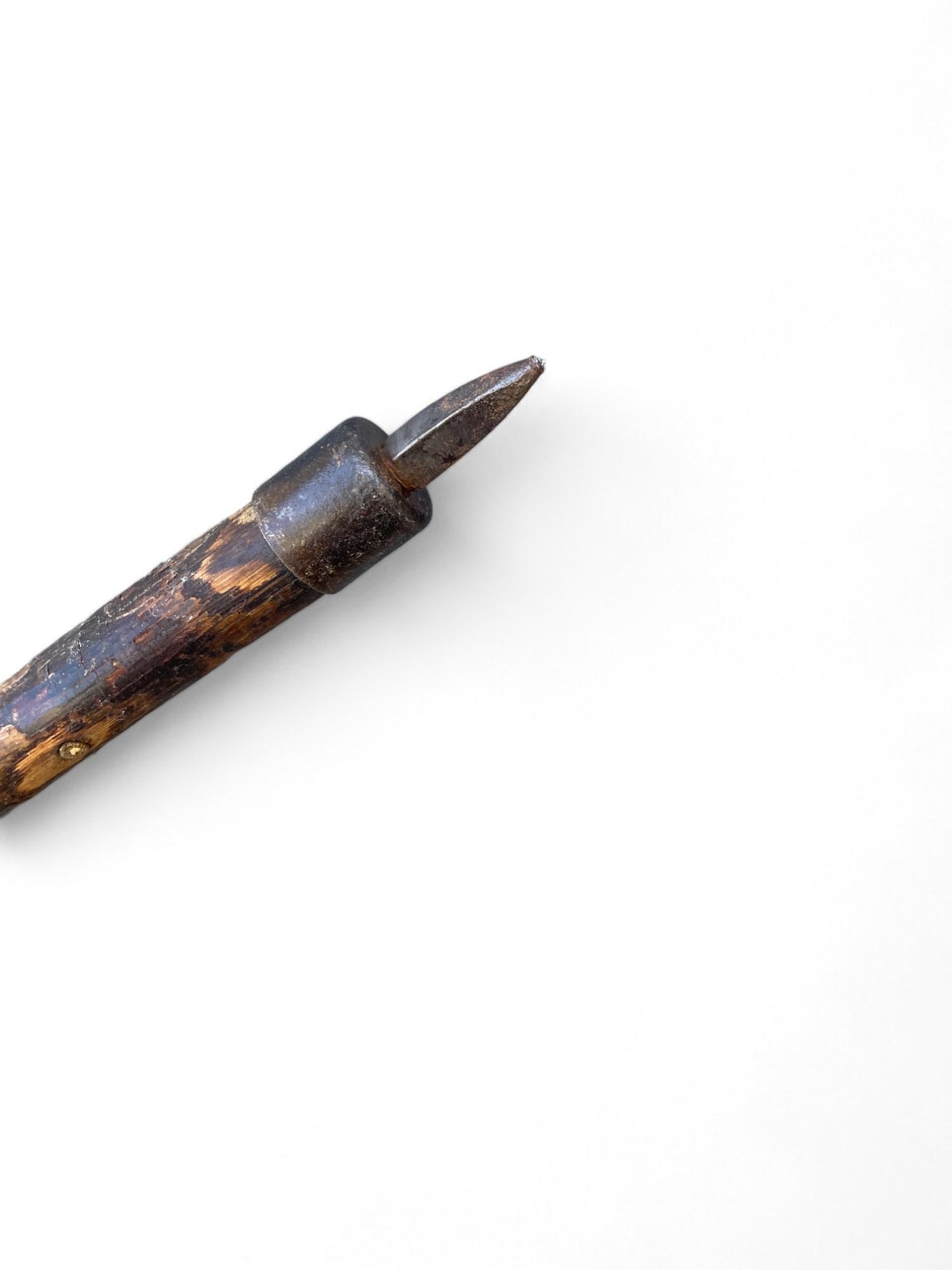 Austrian Antique Walking Stick with Roe Deer Horn For Sale