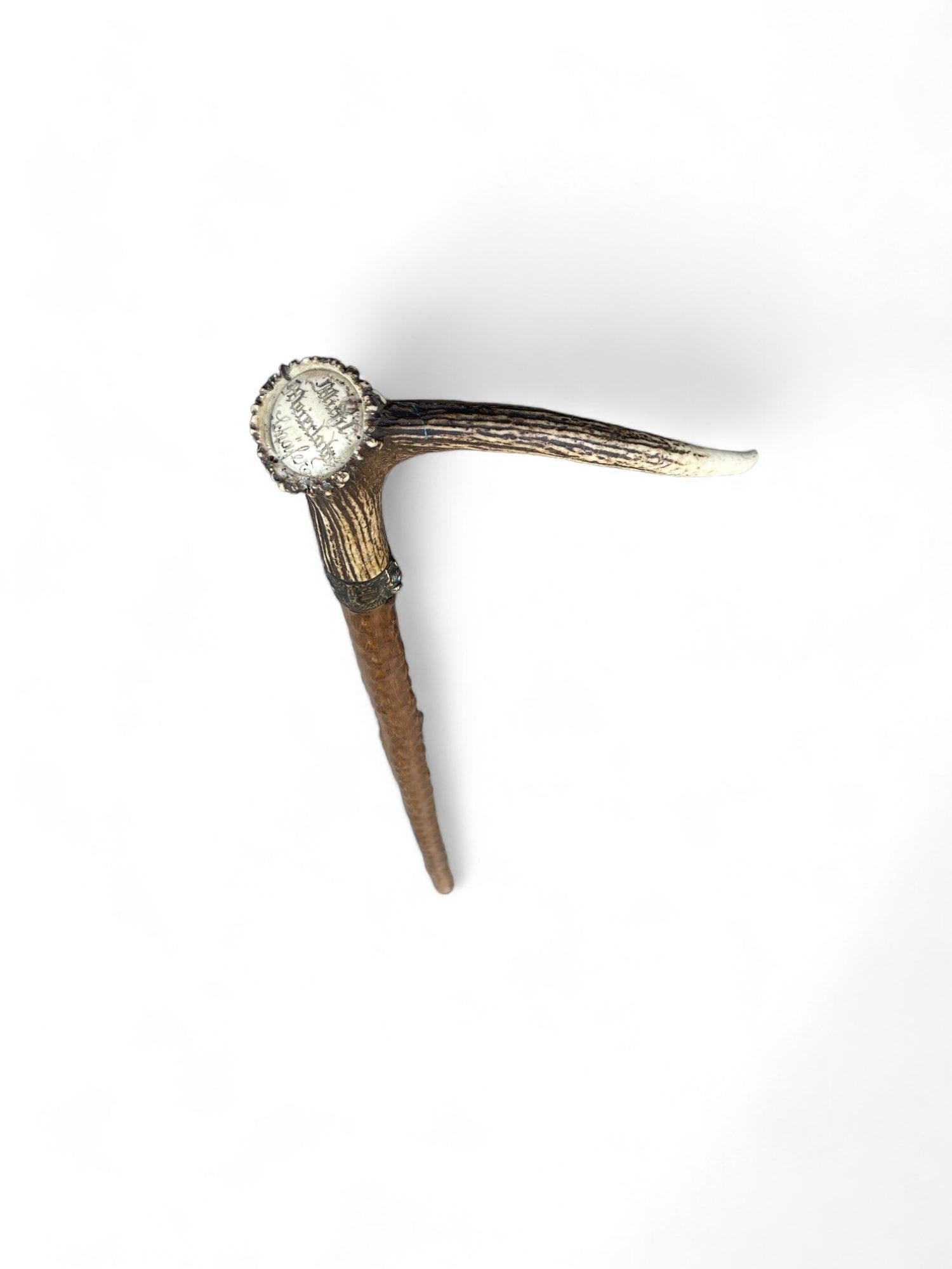 Austrian Antique Walking Stick with Roe Deer Horn For Sale