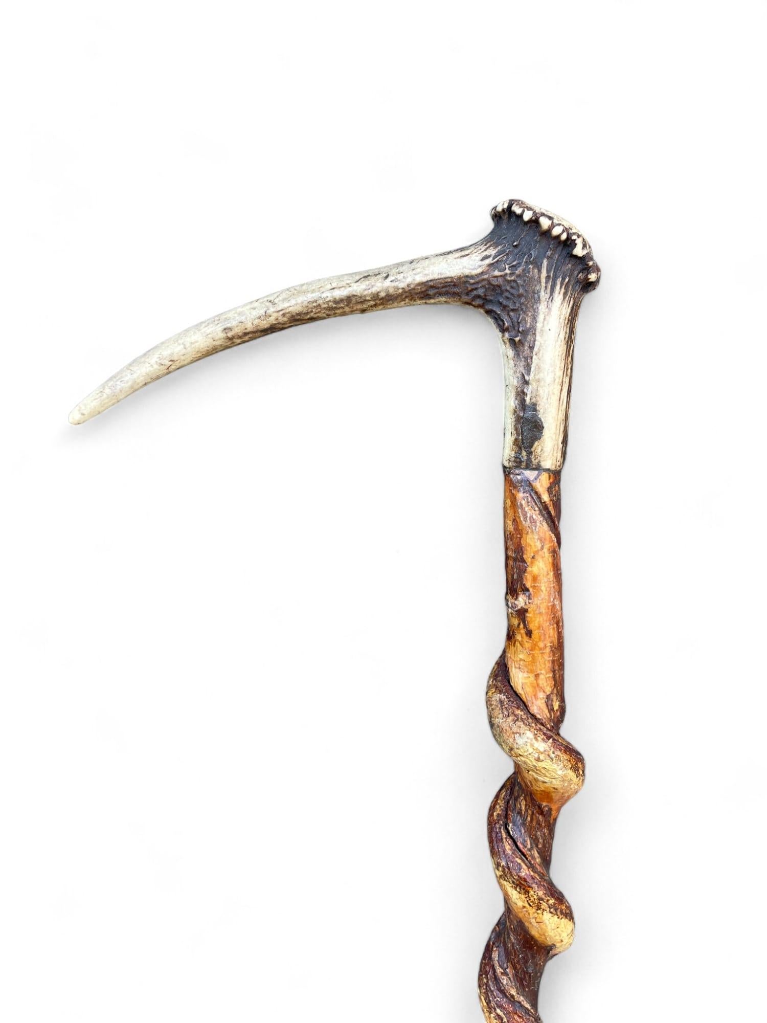 Antique Walking Stick with Roe Deer Horn In Good Condition For Sale In Vo', Veneto