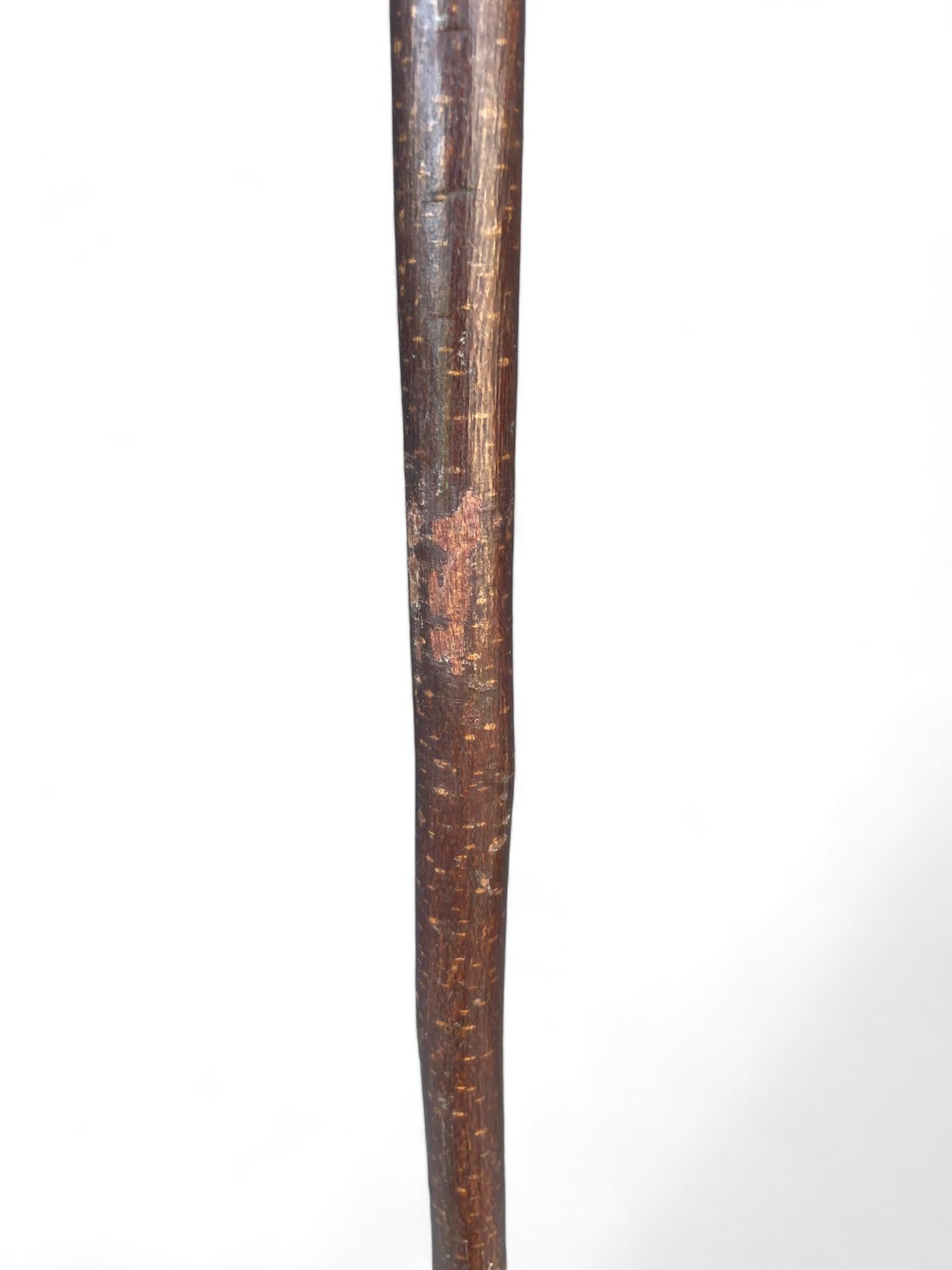 Antique Walking Stick with Roe Deer Horn In Good Condition For Sale In Vo', Veneto