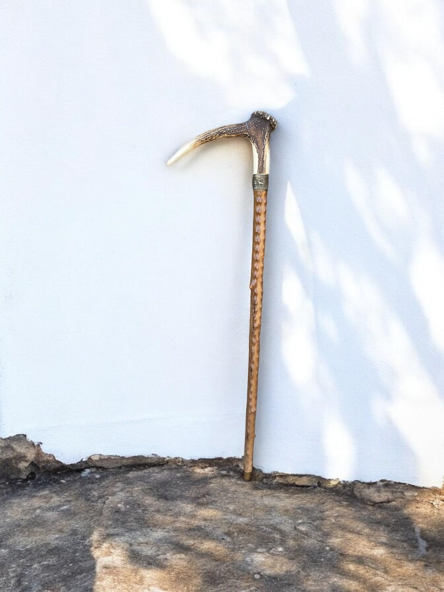 Early 20th Century Antique Walking Stick with Roe Deer Horn For Sale