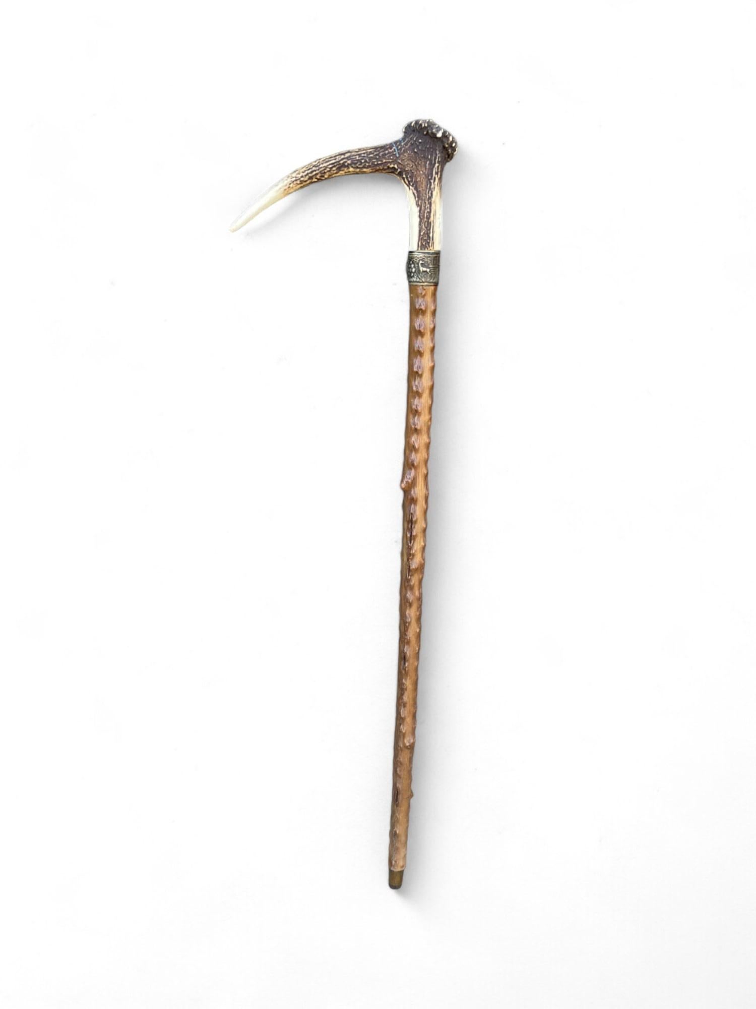 Chestnut Antique Walking Stick with Roe Deer Horn For Sale