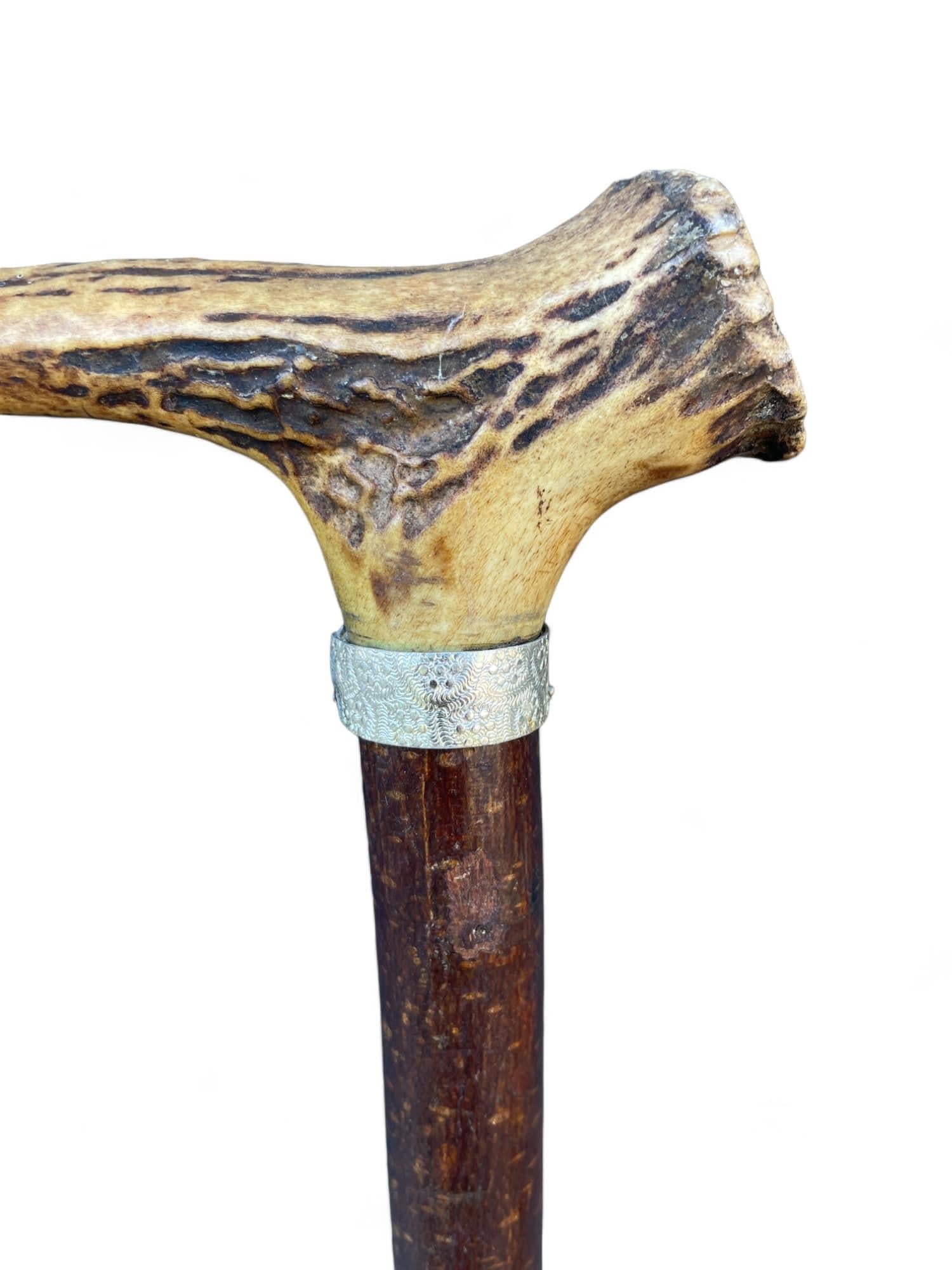 Antique Walking Stick with Roe Deer Horn For Sale 1