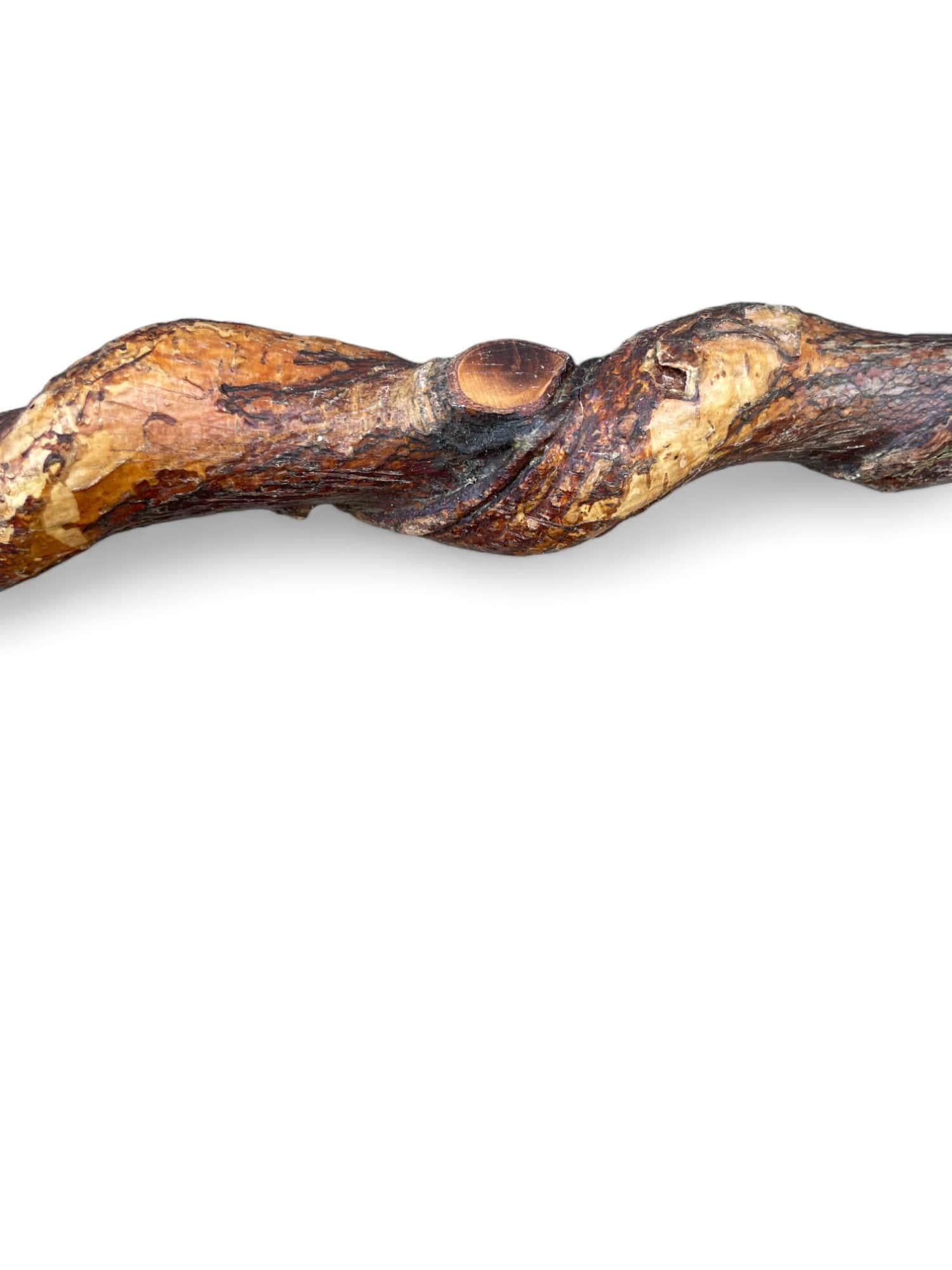 Antique Walking Stick with Roe Deer Horn For Sale 2