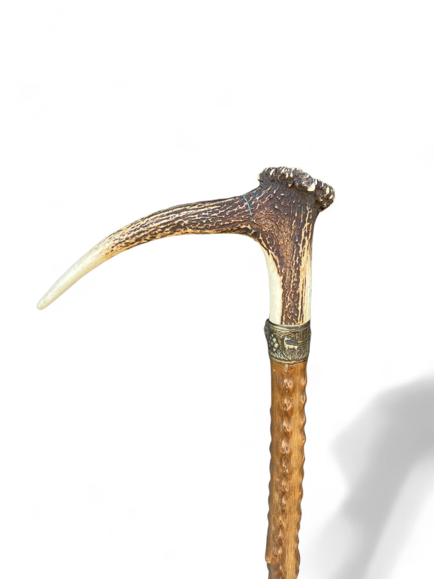 Antique Walking Stick with Roe Deer Horn For Sale 2