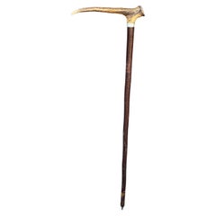 Antique Walking Stick with Roe Deer Horn
