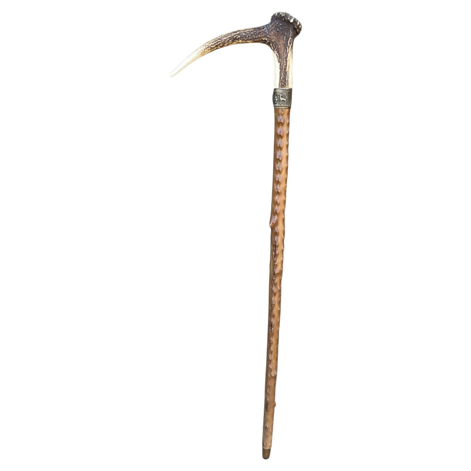 Antique Walking Stick with Roe Deer Horn