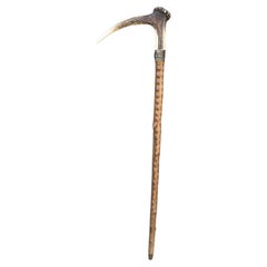 Antique Walking Stick with Roe Deer Horn