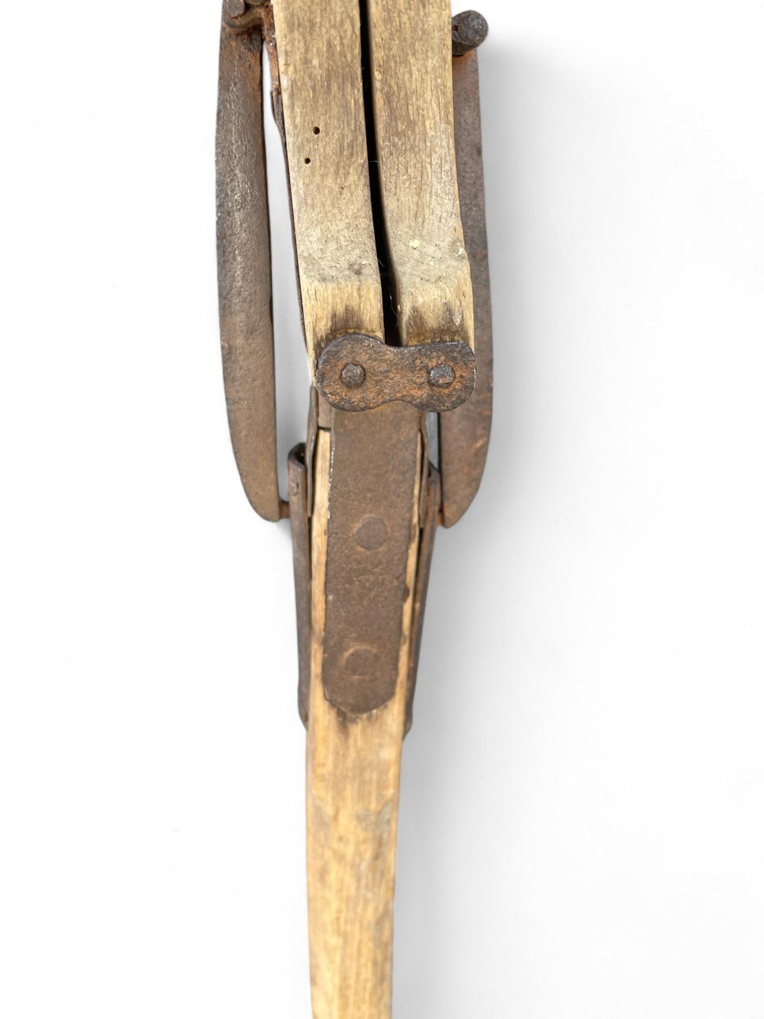 Late 19th Century Antique Walking Stick with Seat For Sale