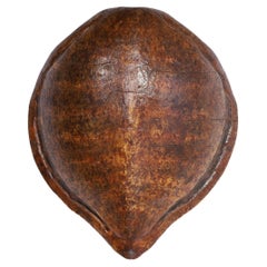 Antique Wall Mount Turtle Shell