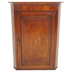 Antique Walnut Cabinet, Georgian Hanging Corner Cabinet, Scotland 1810, B1816