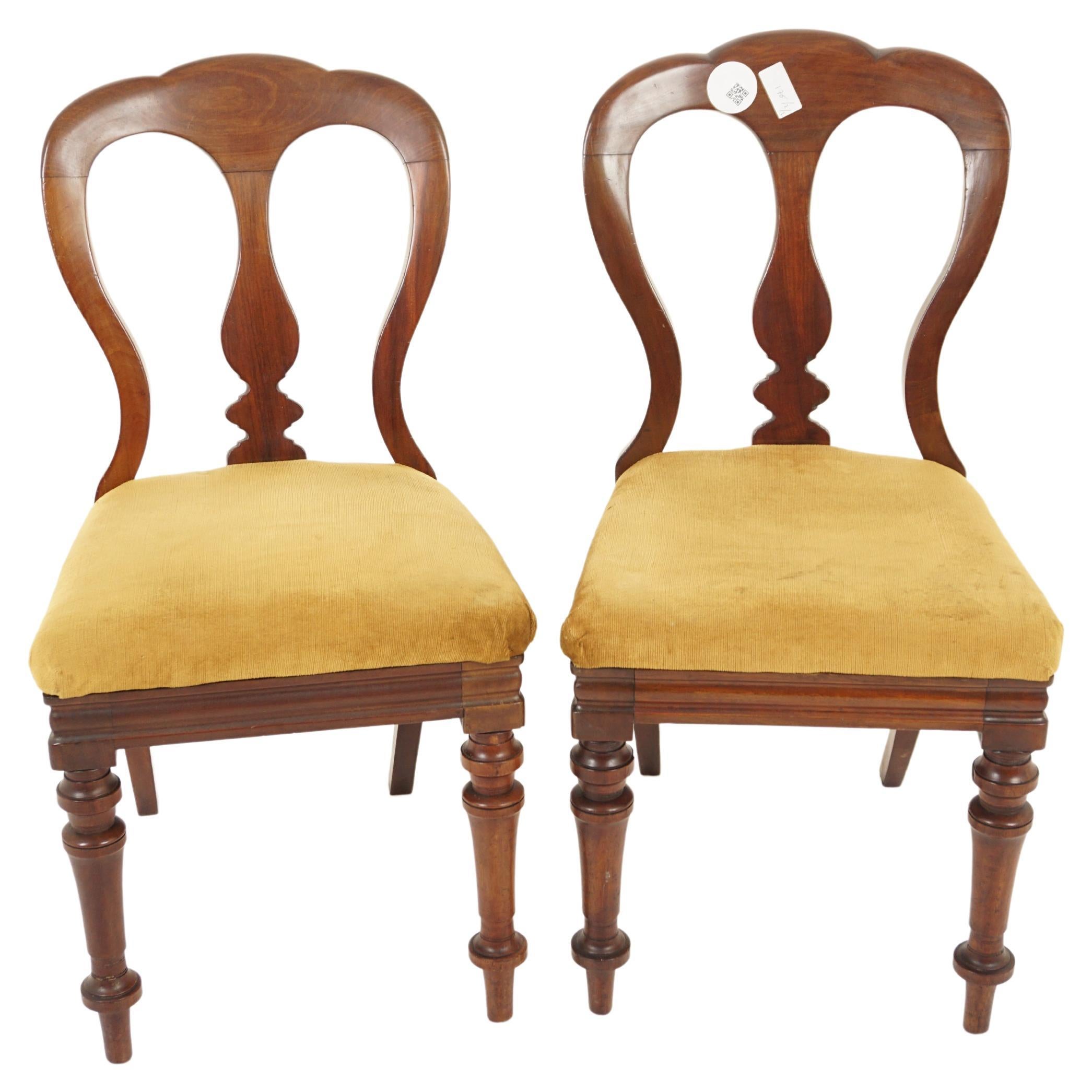 Antike Stühle aus Nussbaumholz, Paar Esszimmerstühle mit Ballonrückenlehne, Schottland 1880, H1133