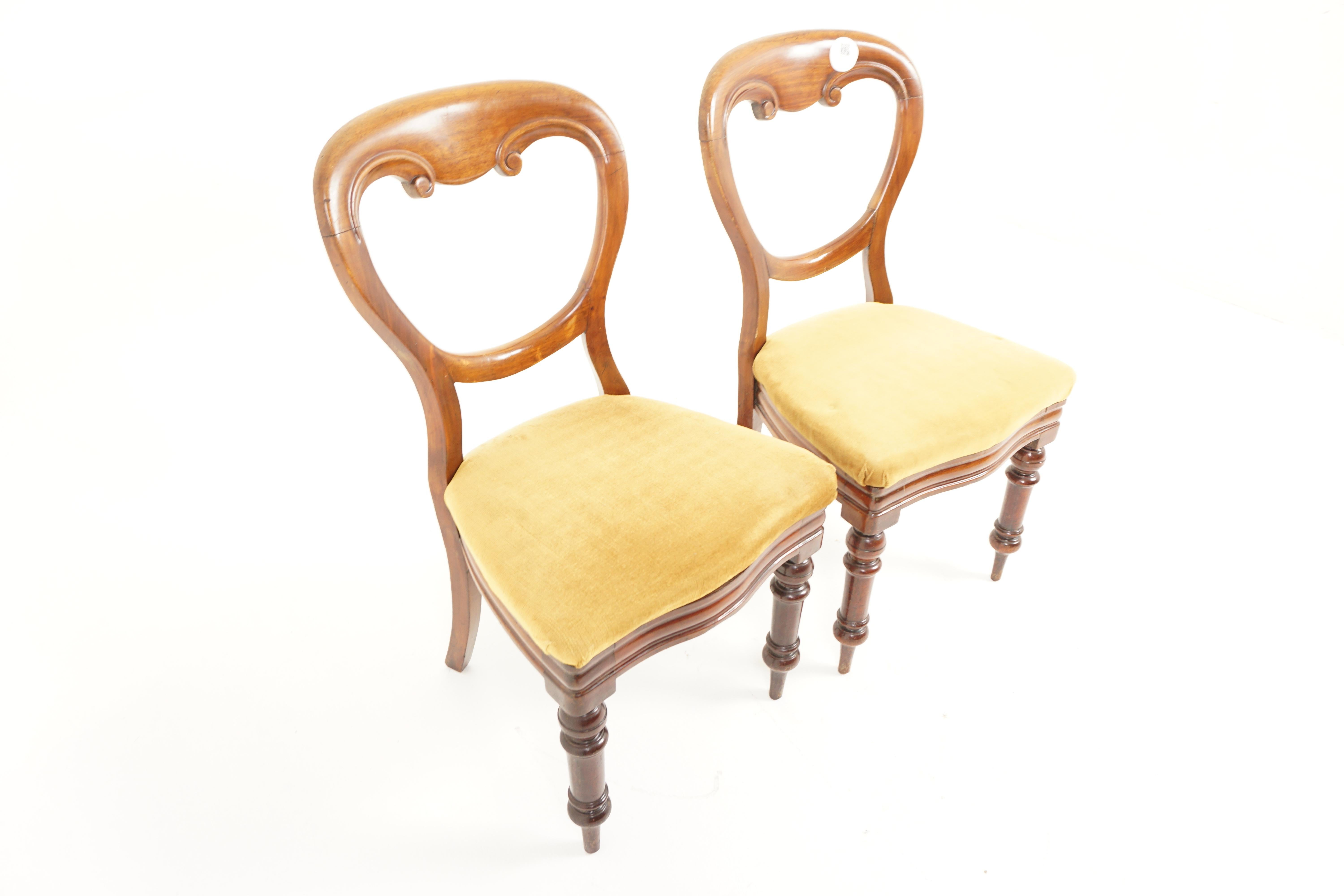 Scottish Antique Walnut Chairs, Pair of Victorian Dining Chairs, Scotland 1880, H1132 For Sale