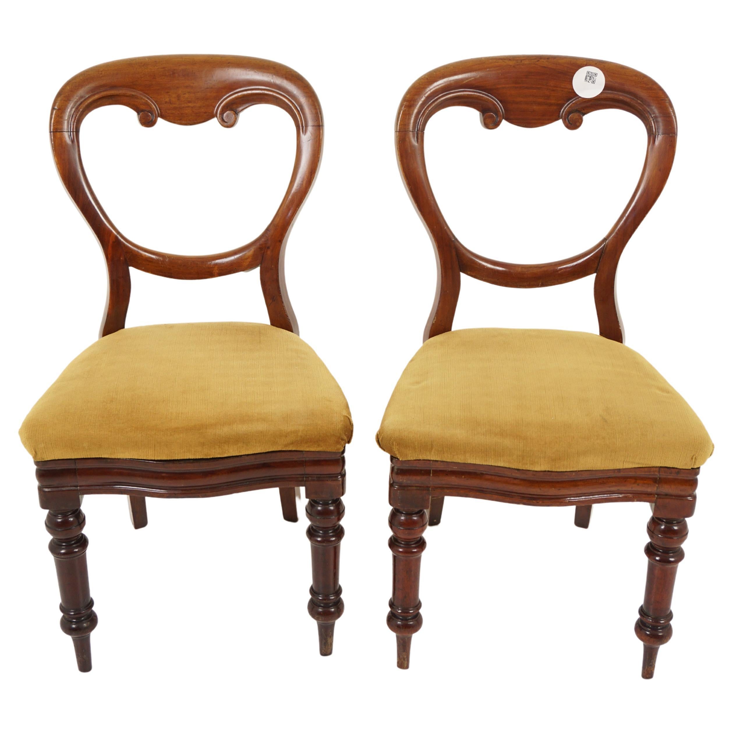 Antique Walnut Chairs, Pair of Victorian Dining Chairs, Scotland 1880, H1132 For Sale