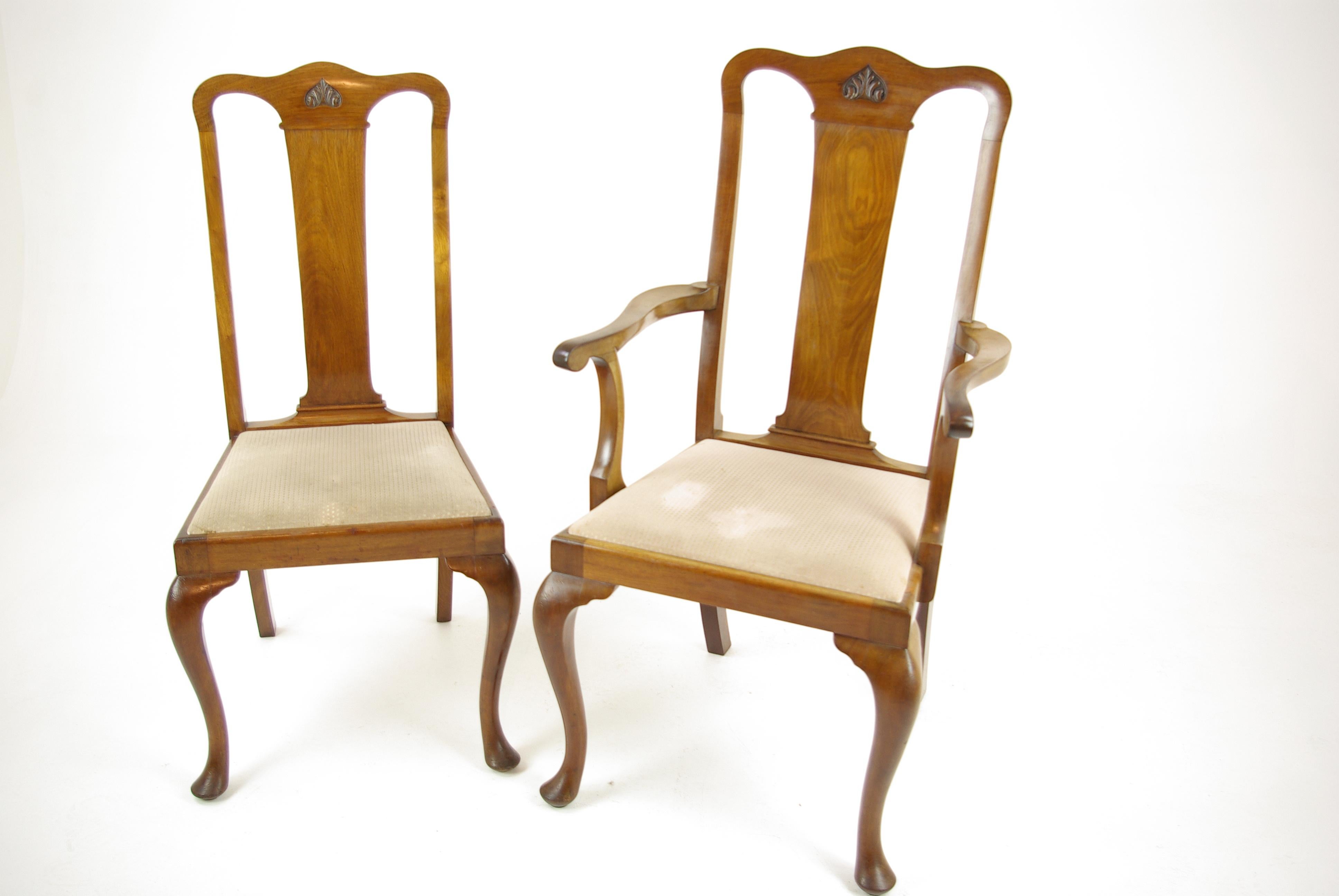 Scottish Antique Walnut Chairs, Queen Anne Chairs, 7 Dining Chairs, Scotland 1920, B1196