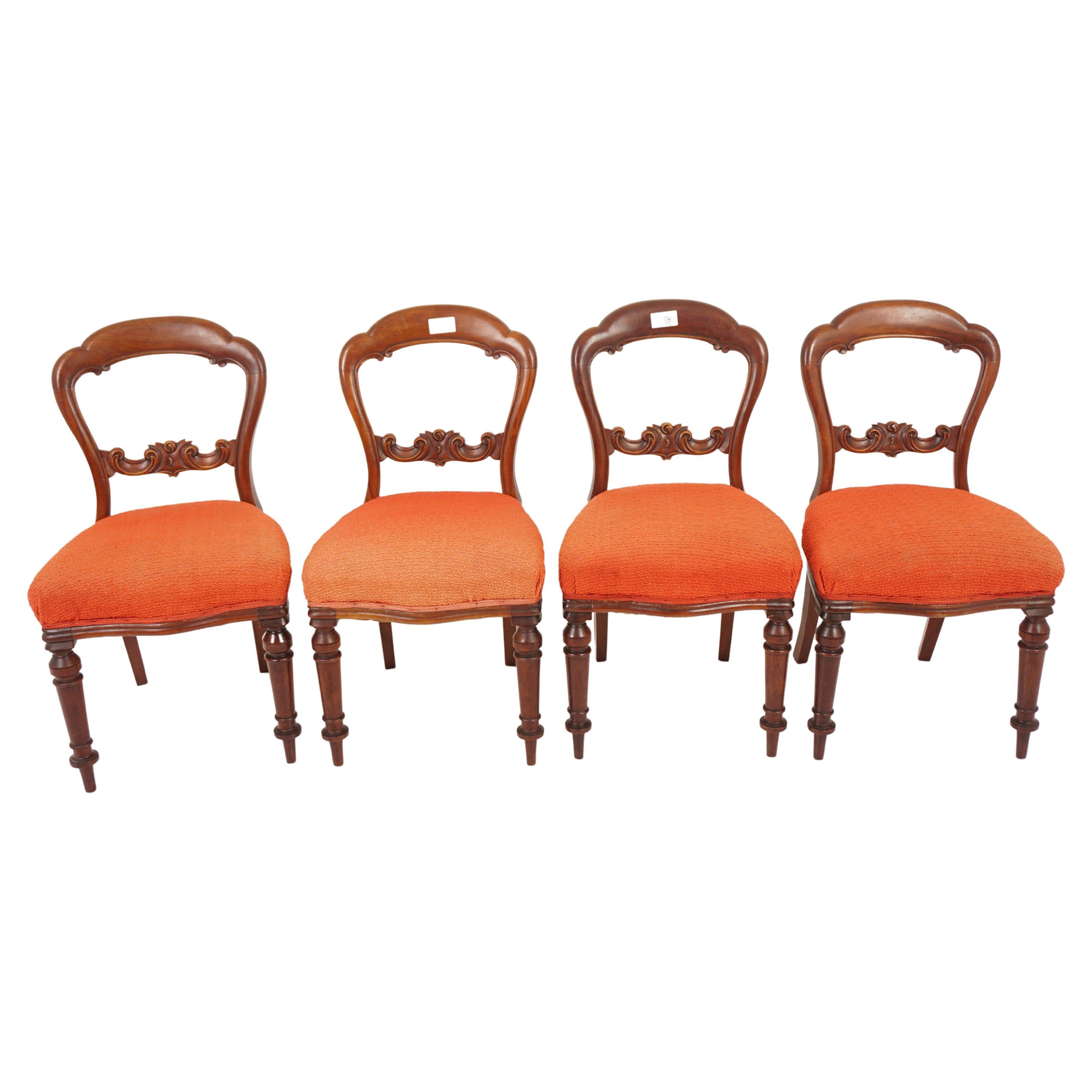Antique Walnut Chairs, Set of 4 Balloon Back Dining Chairs, Scotland 1880, H952 For Sale