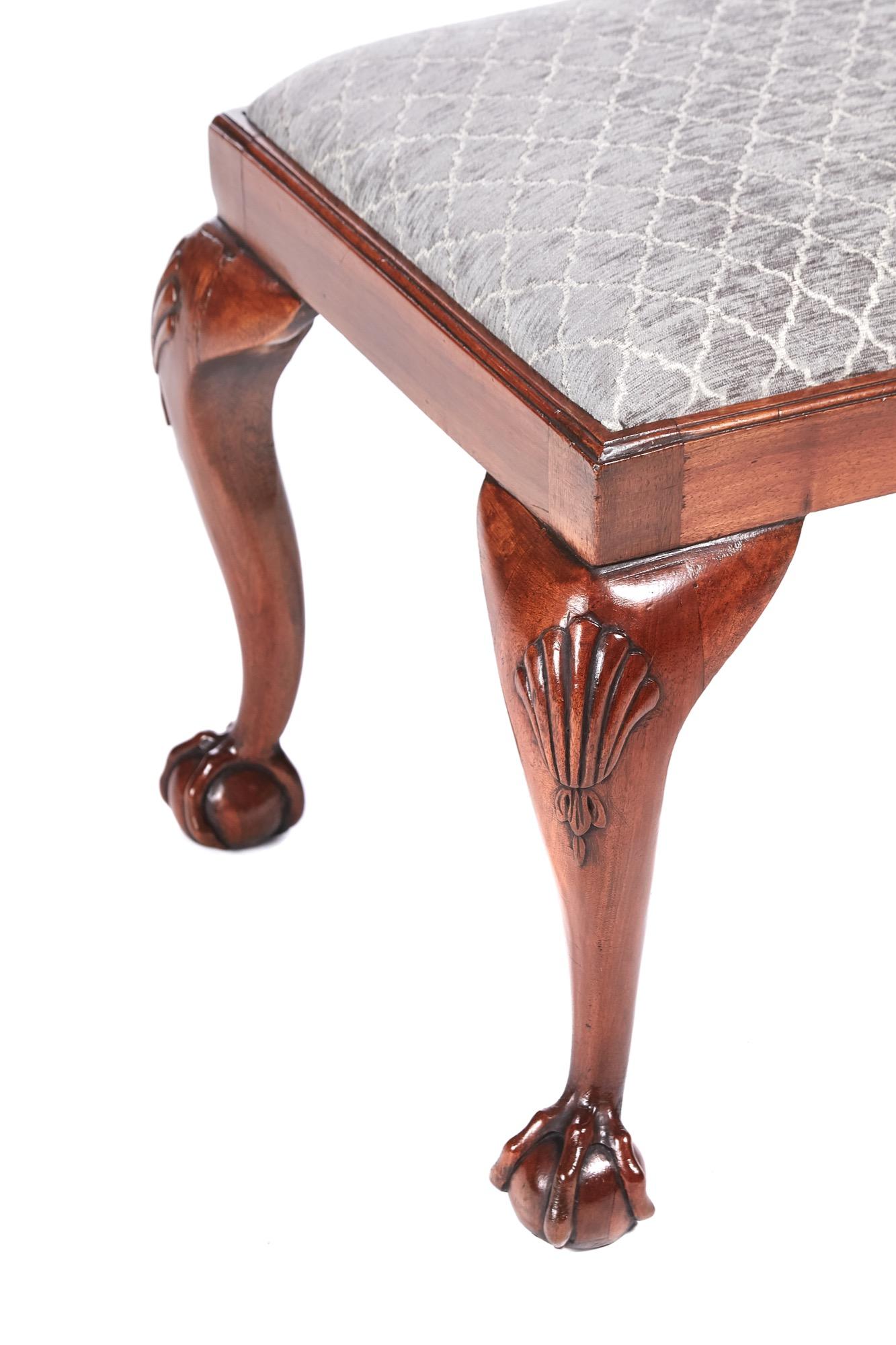 Antique walnut claw and ball stool having a newly recovered drop in seat solid walnut frieze standing on 4 shaped cabriole legs with claw and ball feet and carved shells to the knees.
Lovely color and condition.
Measures: 21.5
