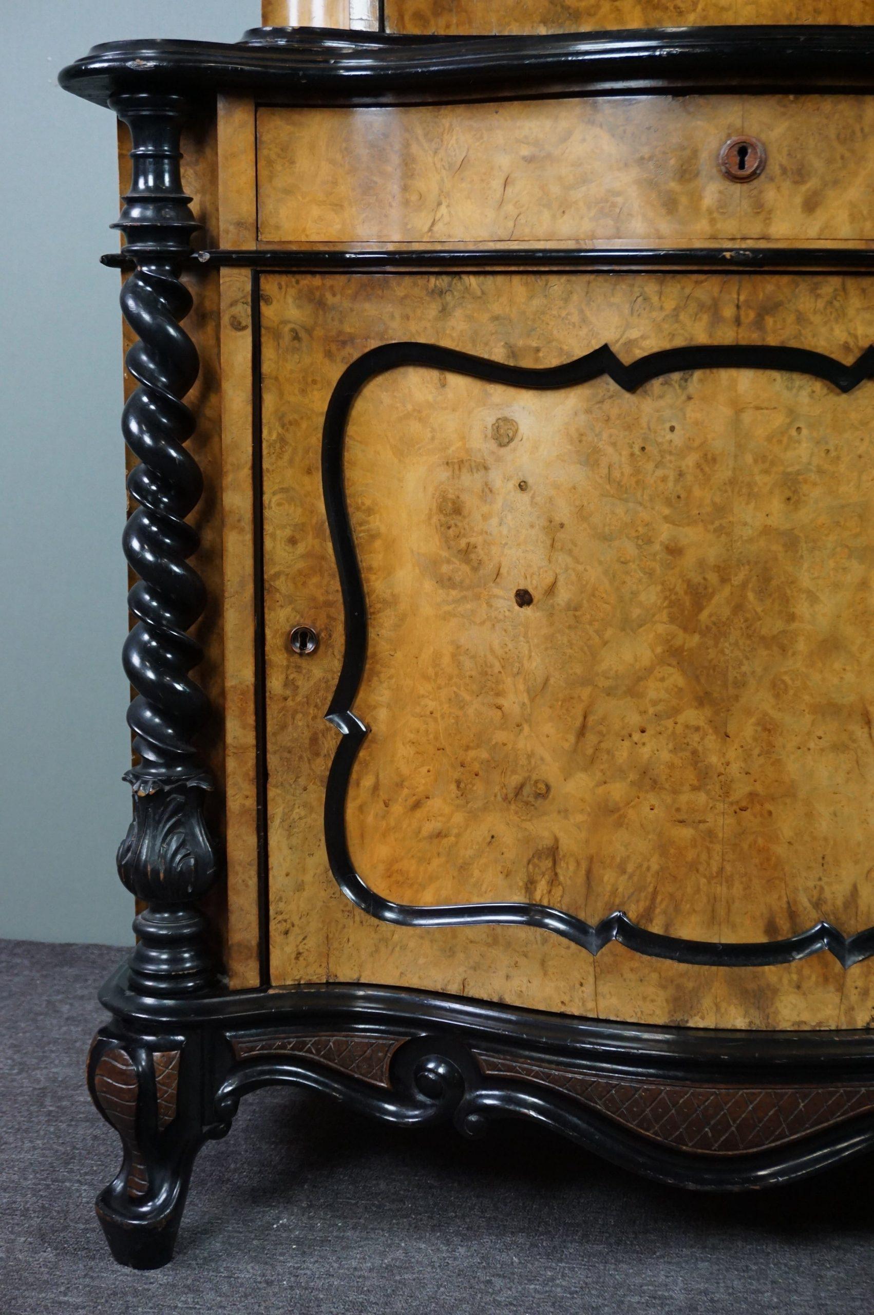 19th Century Antique Walnut Display Cabinet with Rich Details For Sale