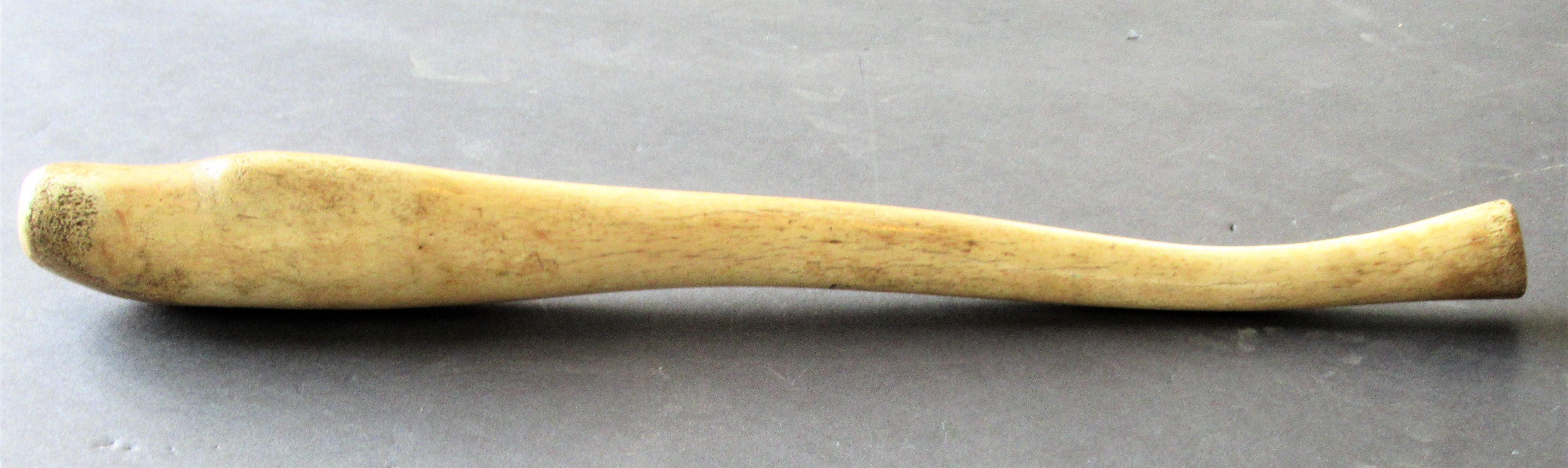 19th Century Antique Walrus 