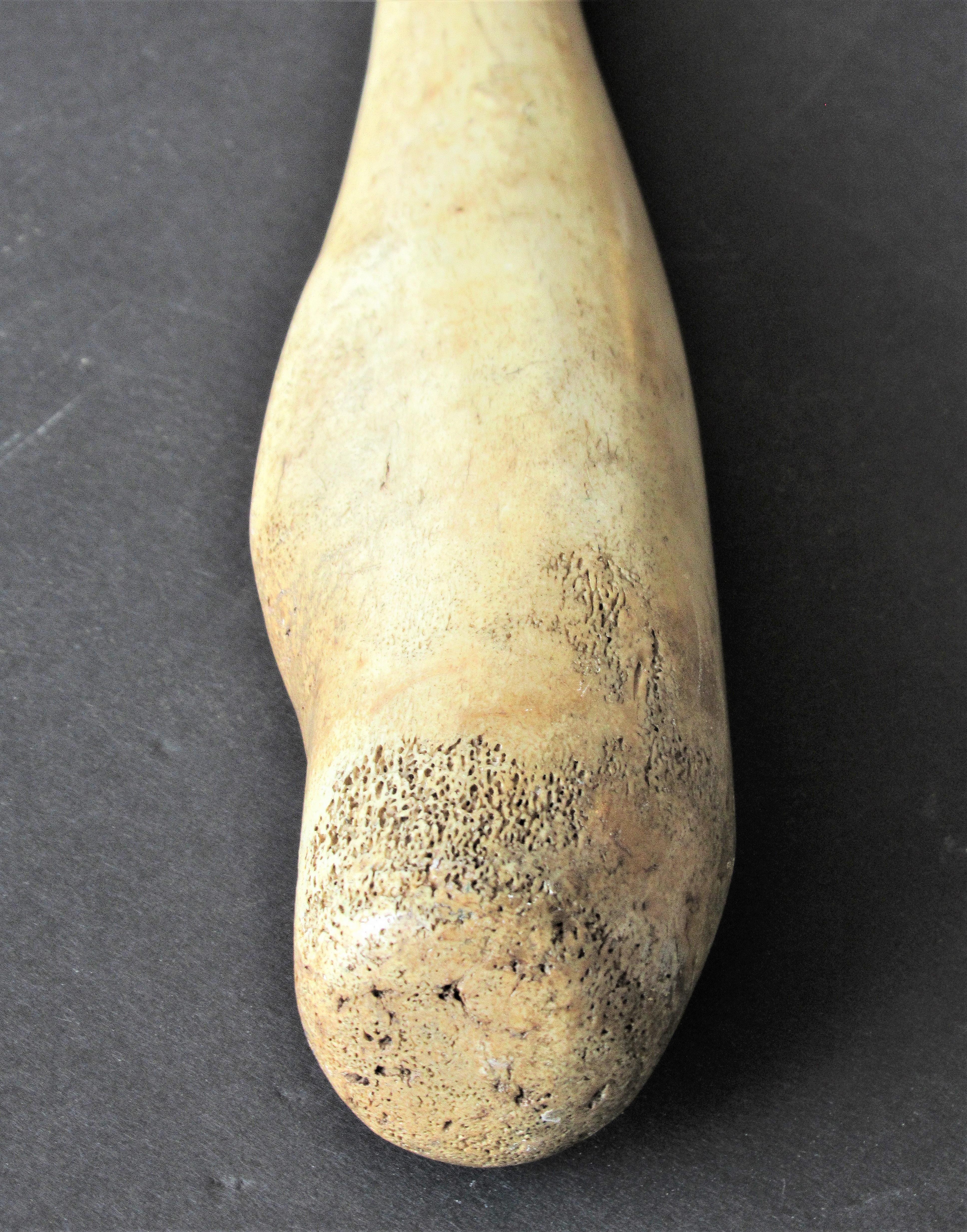 Antique Walrus 