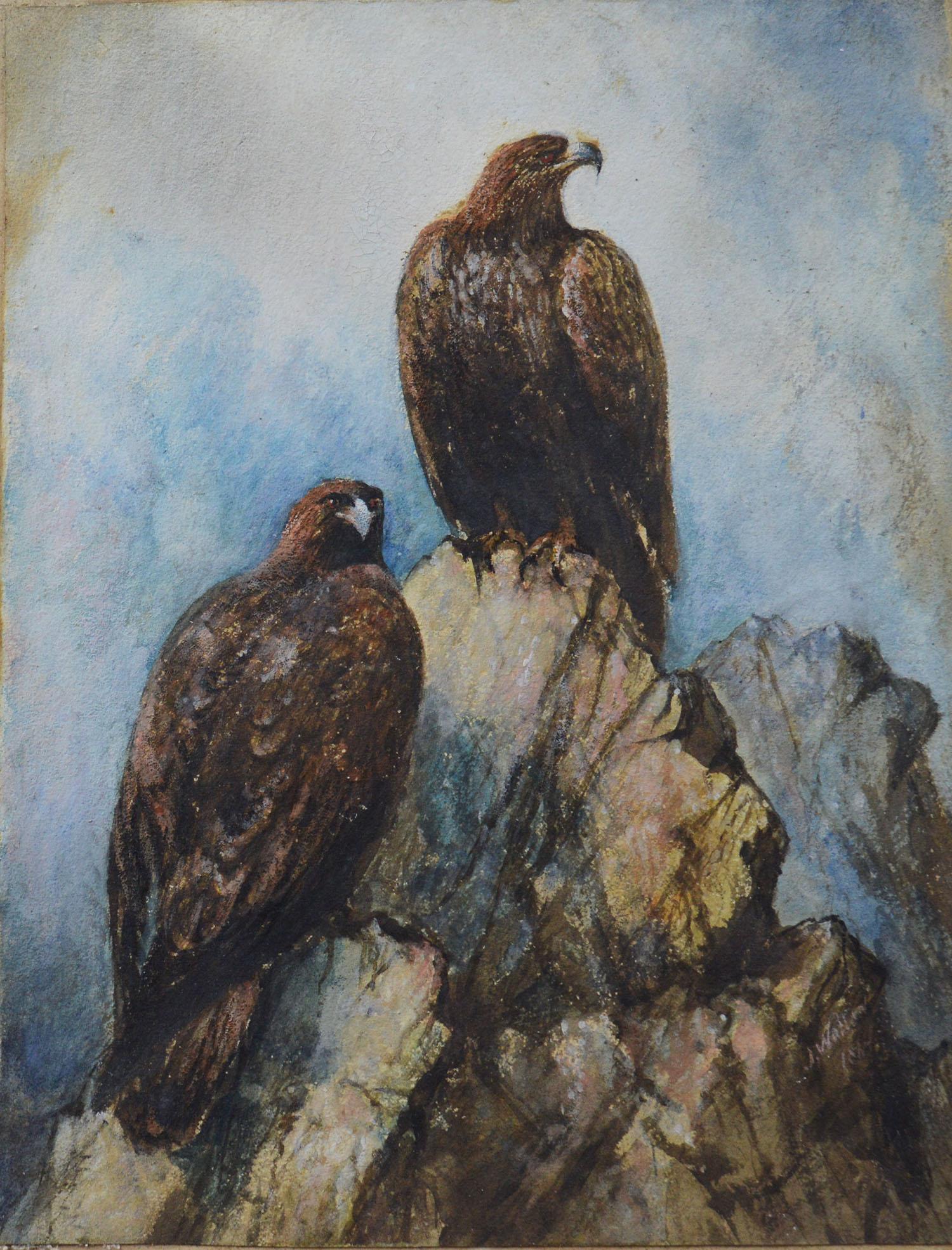 A beautiful watercolor of golden eagles

On paper laid on to card

Late 19th century.

Signed indistinctly bottom right

Unframed

Unrestored condition.
 