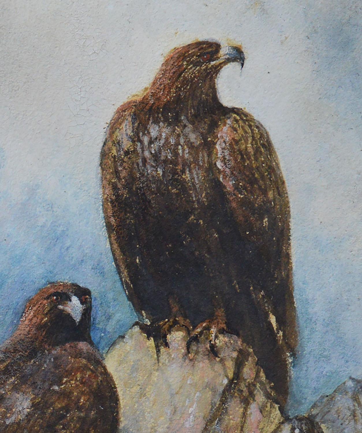 Victorian Antique Watercolor of Golden Eagles, 19th Century