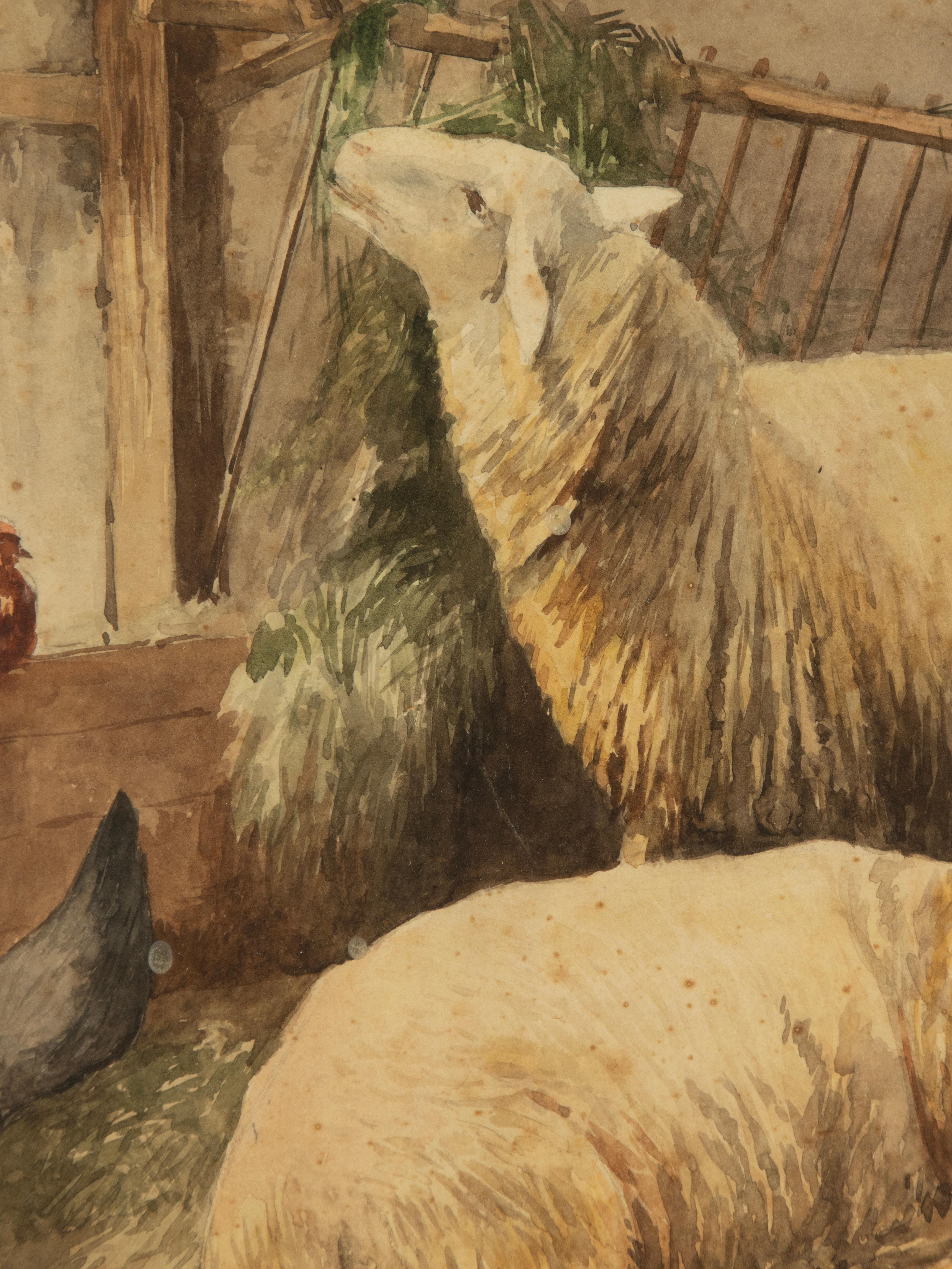 Aquarelle ancienne avec moutons et poulets, datée de 1905, R. Aubin en vente 3