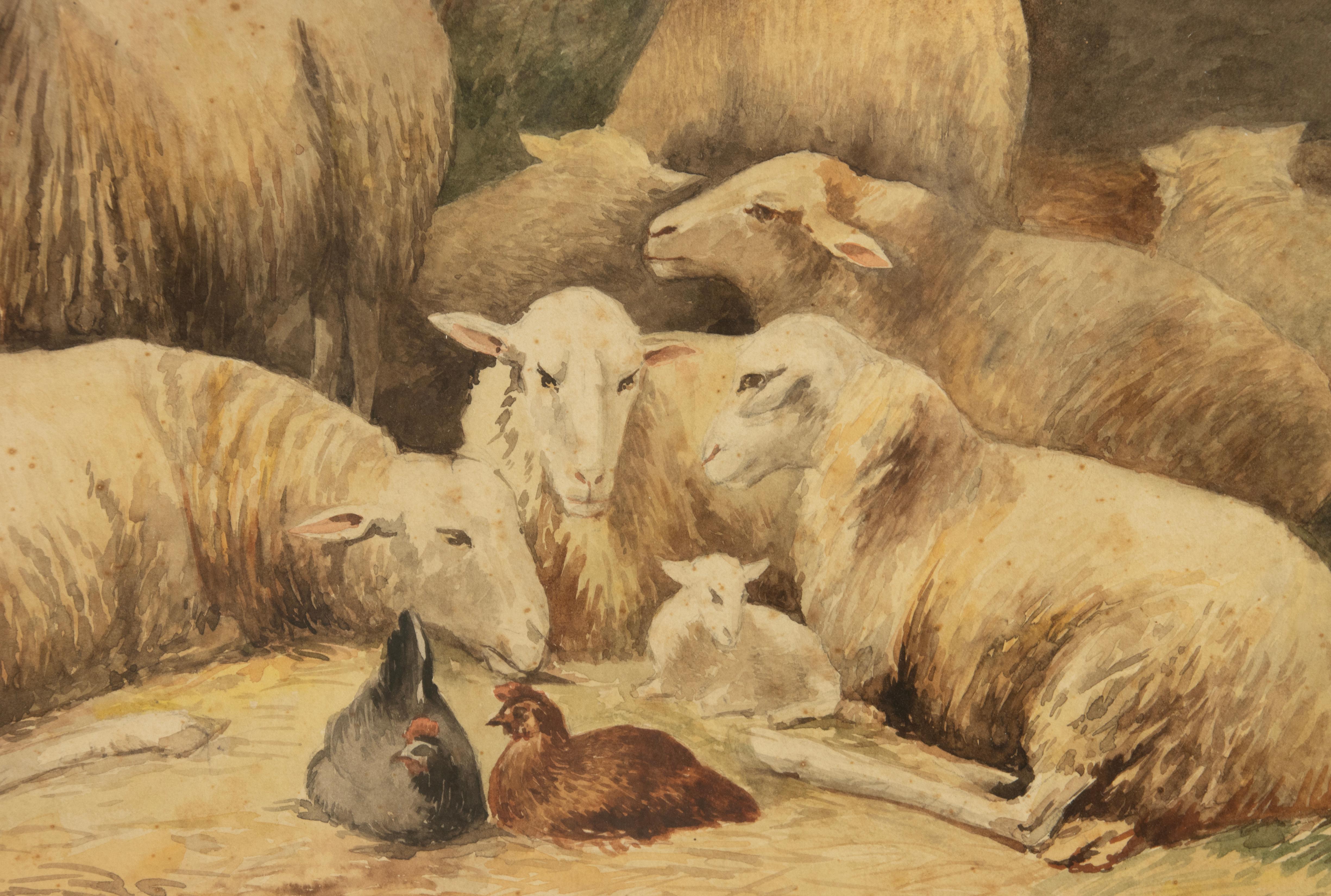 Aquarelle ancienne avec moutons et poulets, datée de 1905, R. Aubin en vente 4