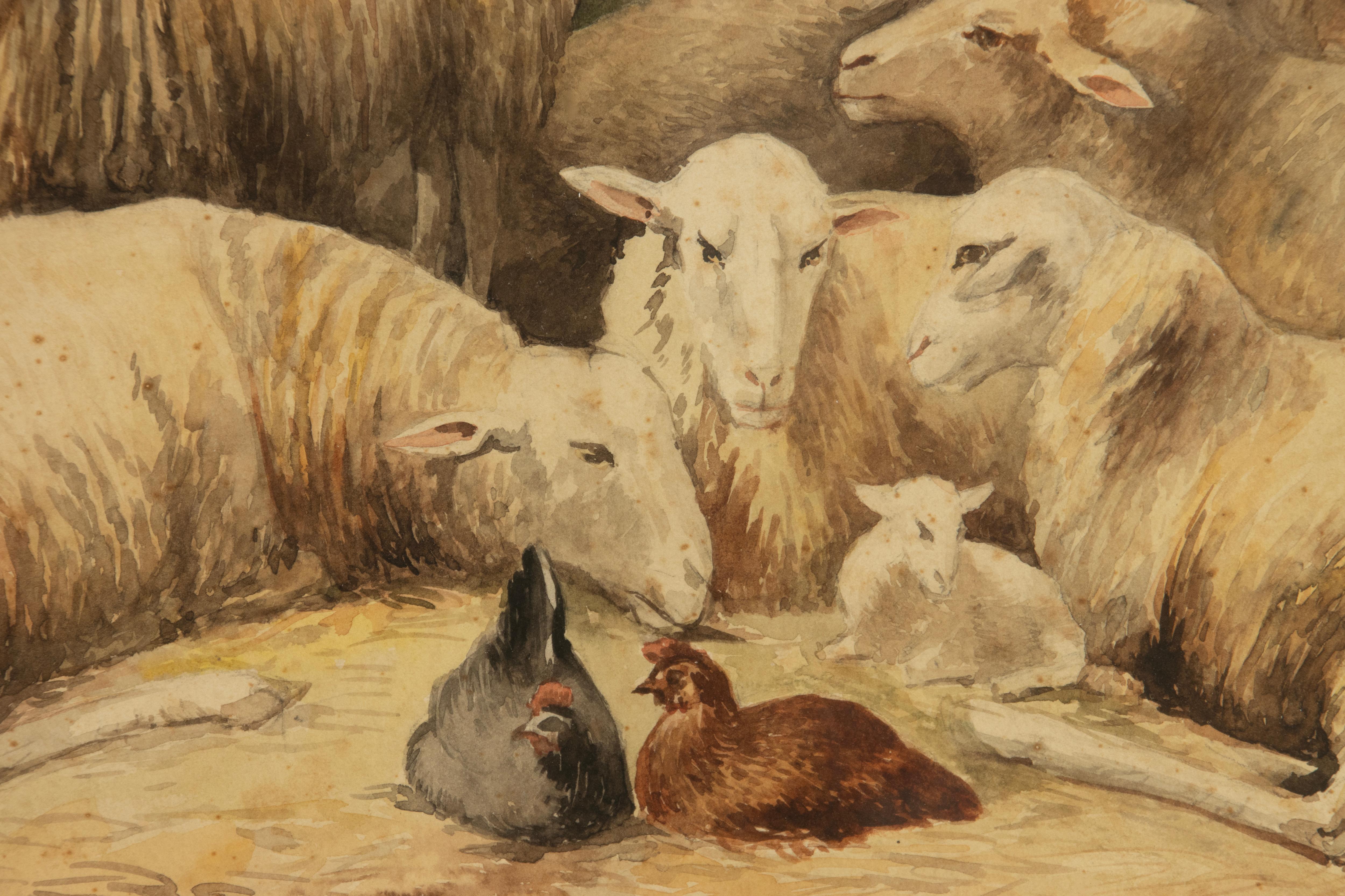 Aquarelle ancienne avec moutons et poulets, datée de 1905, R. Aubin en vente 7