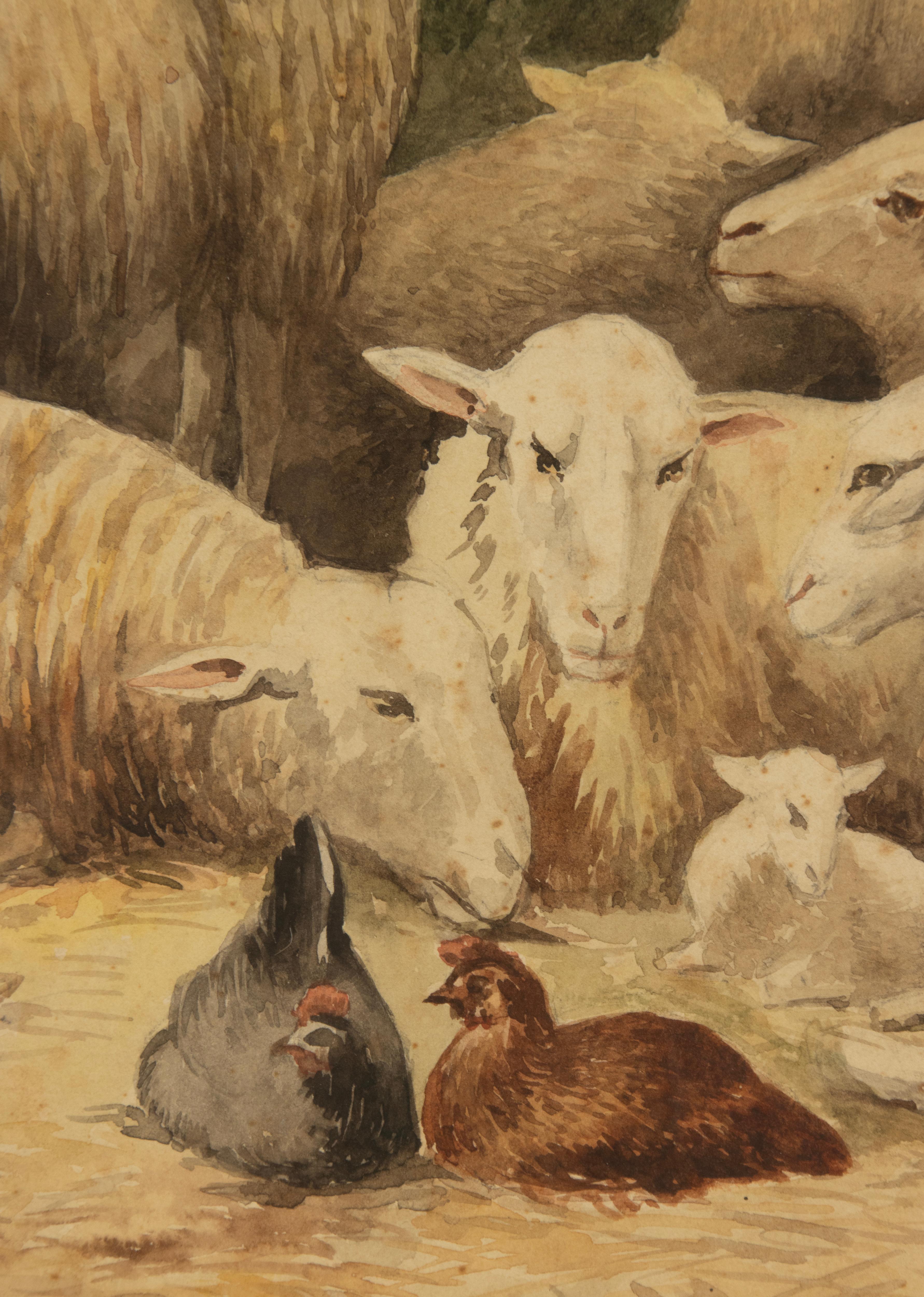 Aquarelle ancienne avec moutons et poulets, datée de 1905, R. Aubin en vente 1