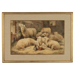 Acquerello antico con pecore e galline - datato 1905 - R. Aubin