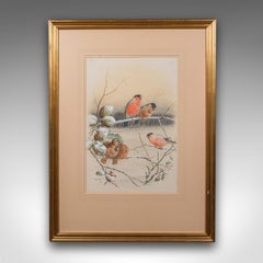 Antique Watercolour Finch Painting, English School, Art, Harry Bright, Victorian