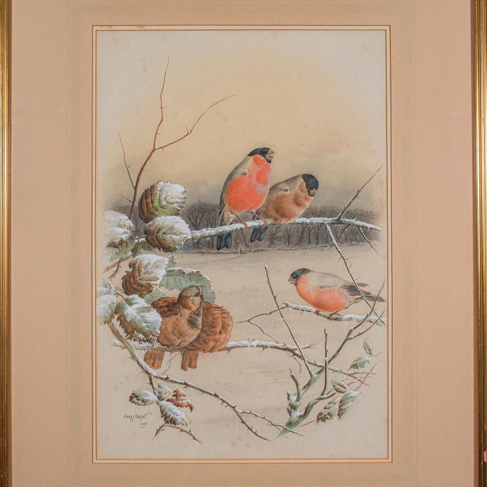 Antikes Aquarell Fink Gemälde, English School, Kunst, Harry Bright, viktorianisch (Britisch) im Angebot