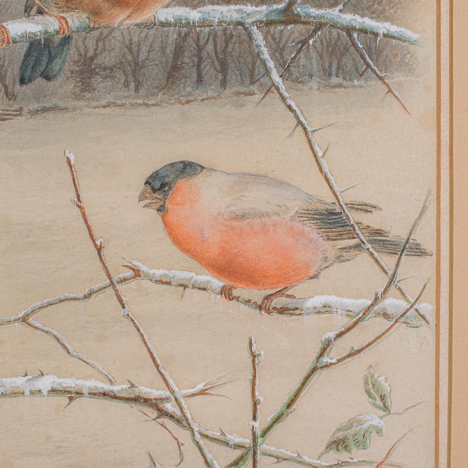 Antikes Aquarell Fink Gemälde, English School, Kunst, Harry Bright, viktorianisch im Zustand „Gut“ im Angebot in Hele, Devon, GB