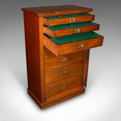 Antique Wellington Chest, English Walnut Specimen Collector's Drawers, Victorian