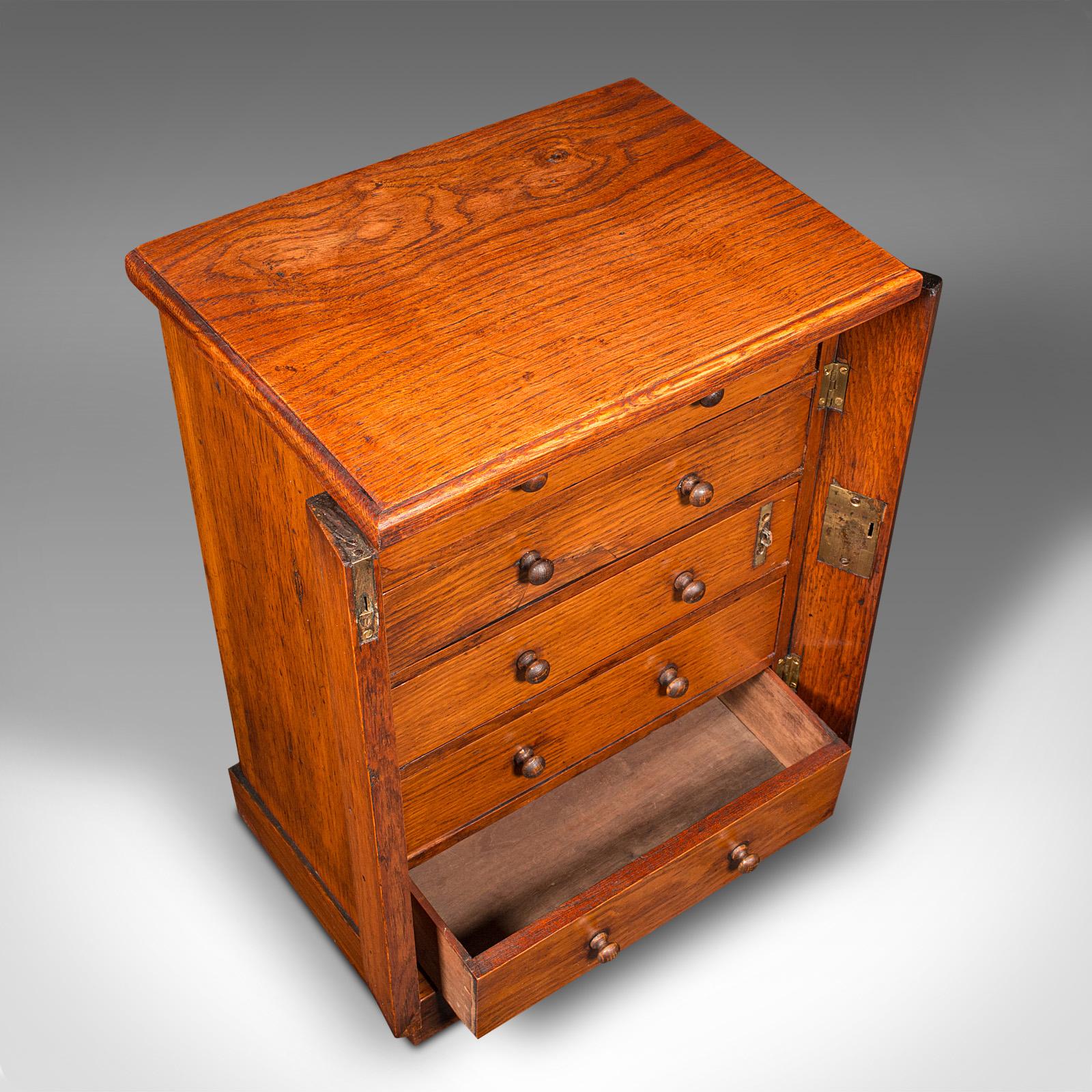 Antique Wellington Chest of Drawers, English, Oak, Specimen Cabinet, Victorian 4
