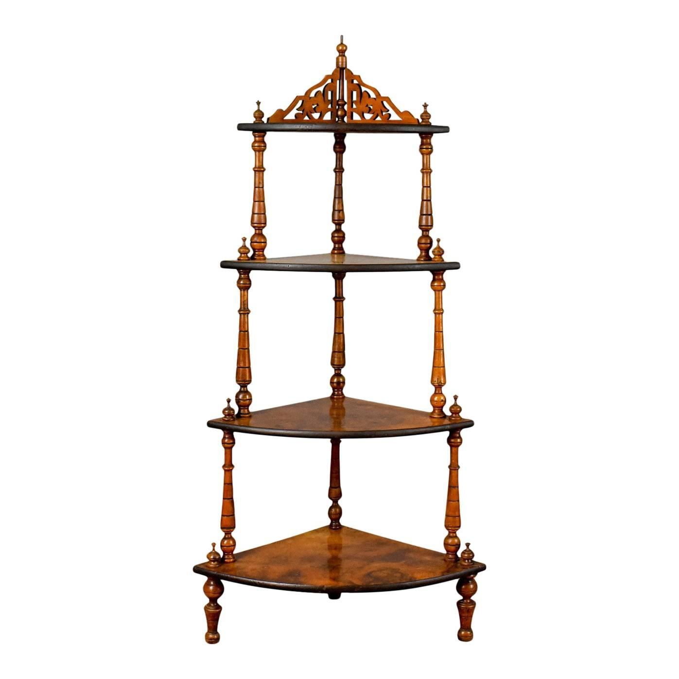 Antiker Whatnot:: Englisch:: Wurzelholz:: vierstöckiger Eck-Display-Ständer um 1880