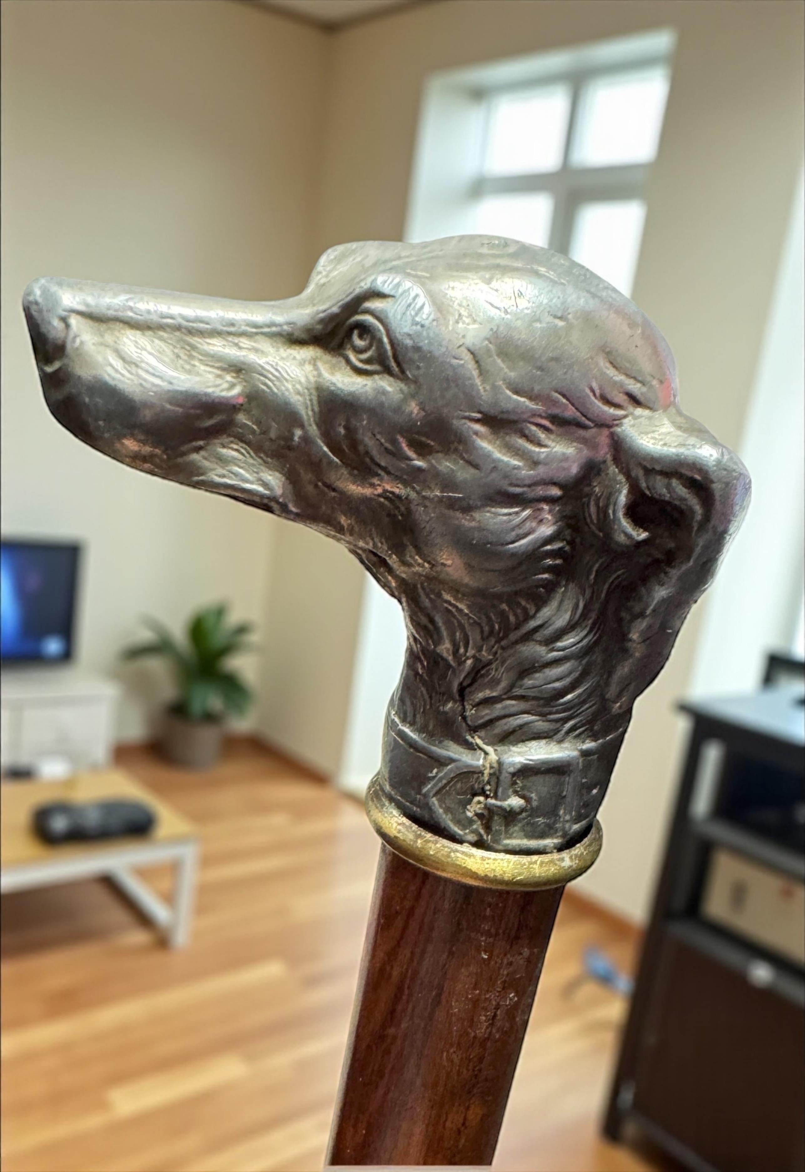 Canne de marche ancienne avec tête de lévrier whippet, Vienne, années 1890 en vente 8