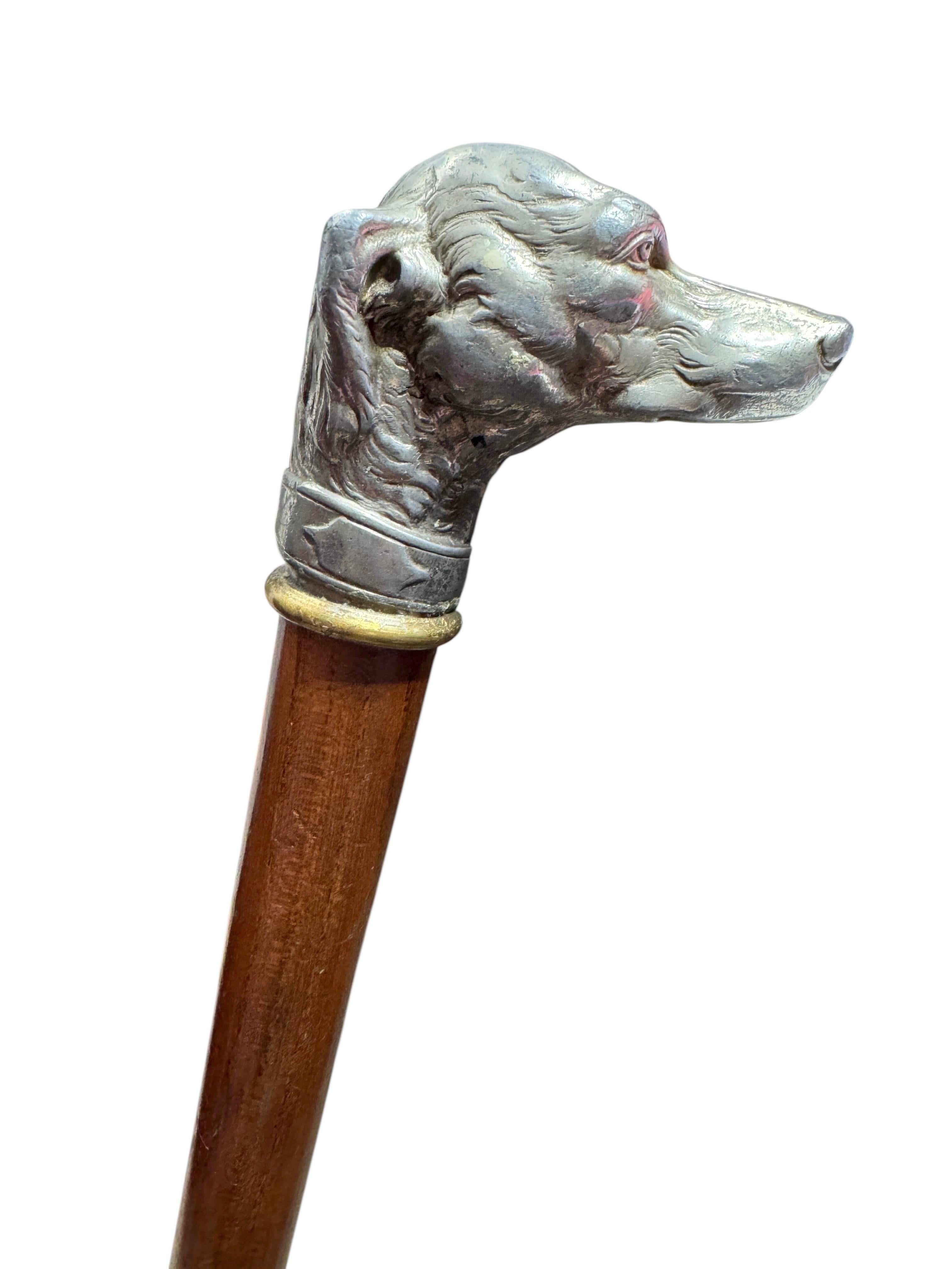 Hollywood Regency Canne de marche ancienne avec tête de lévrier whippet, Vienne, années 1890 en vente