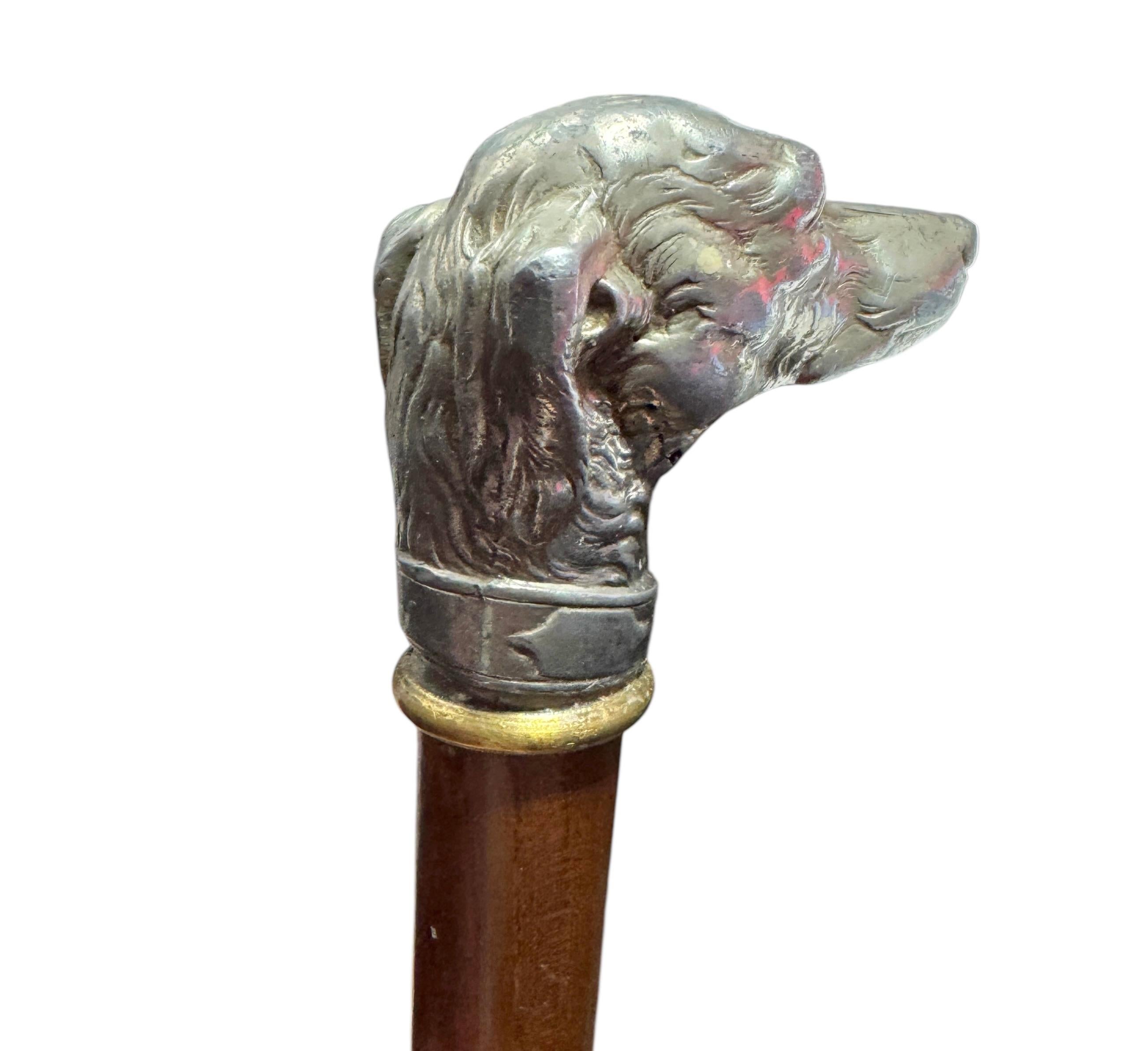 Autrichien Canne de marche ancienne avec tête de lévrier whippet, Vienne, années 1890 en vente
