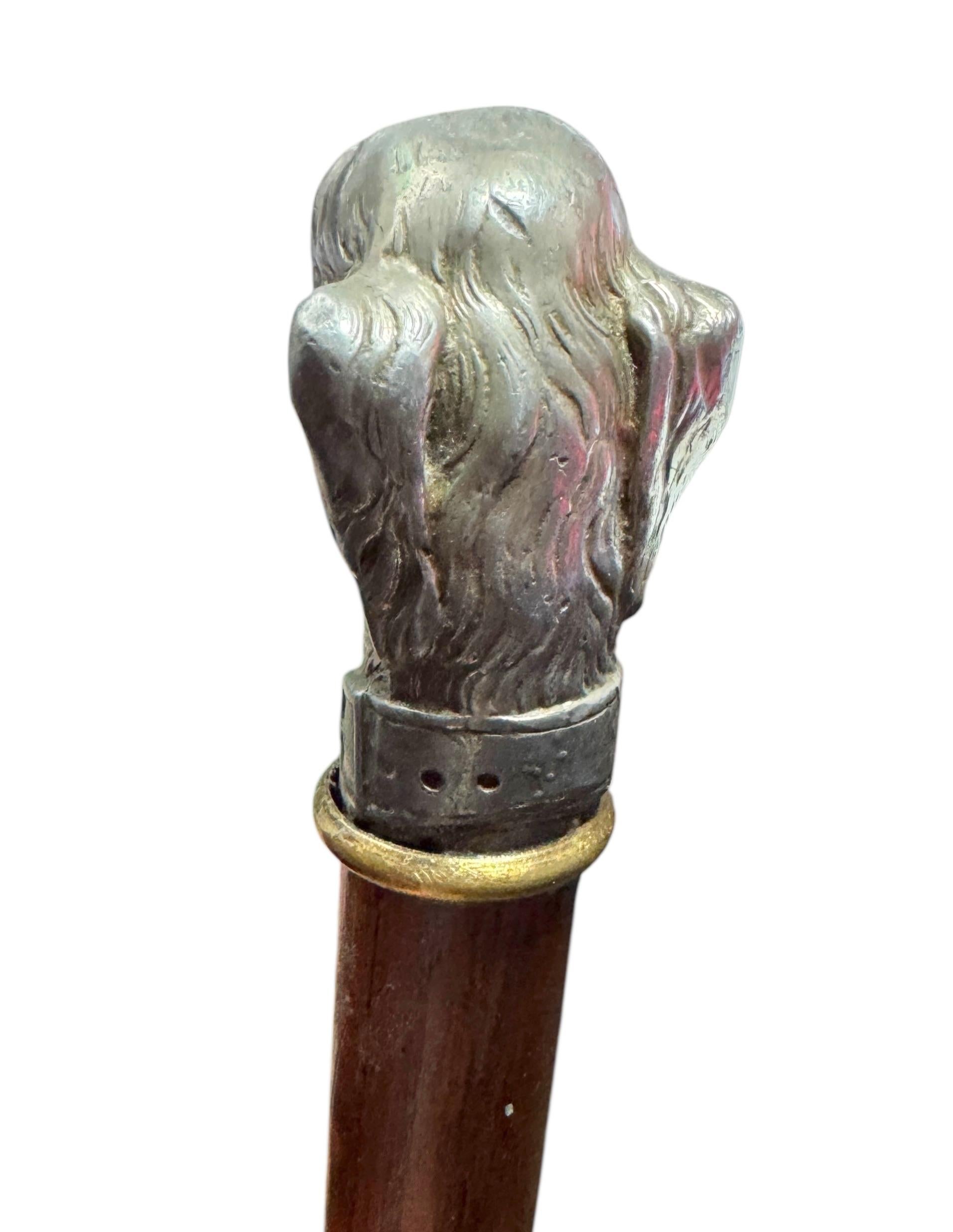 Sculpté à la main Canne de marche ancienne avec tête de lévrier whippet, Vienne, années 1890 en vente