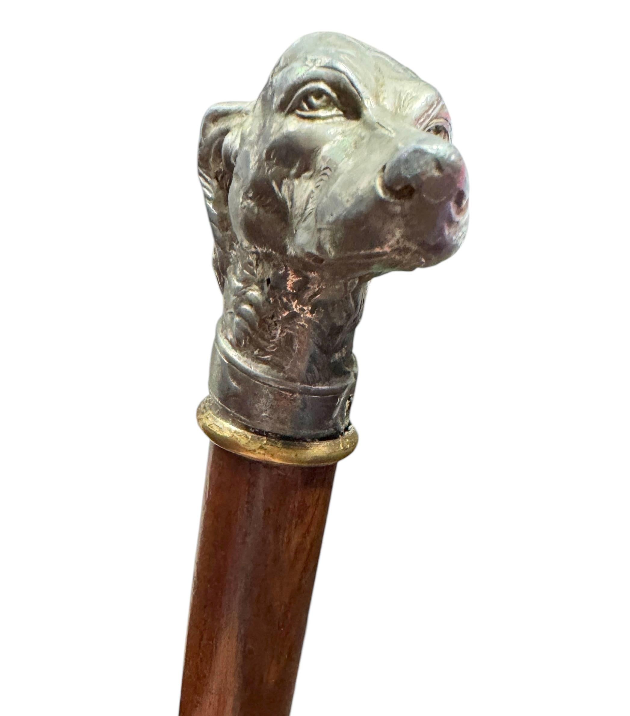 Fin du XIXe siècle Canne de marche ancienne avec tête de lévrier whippet, Vienne, années 1890 en vente