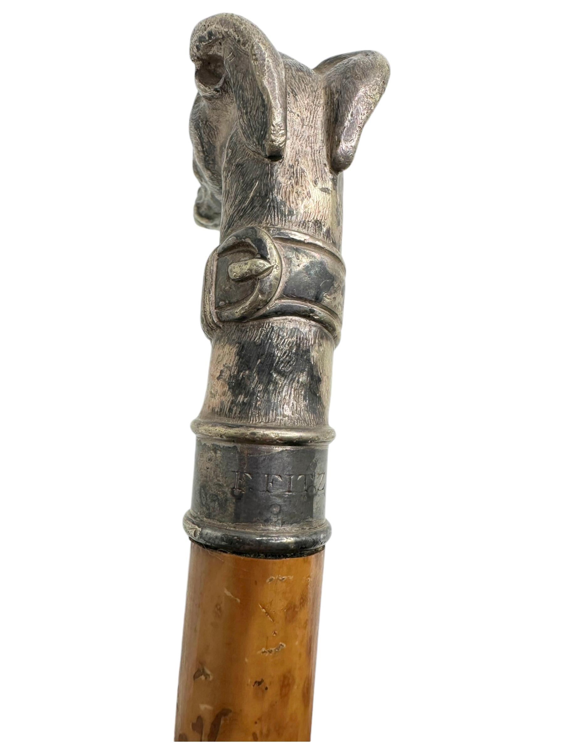 Antique Whippet Greyhound Head Dog Walking Stick Cane, 1890s, Germany 3
